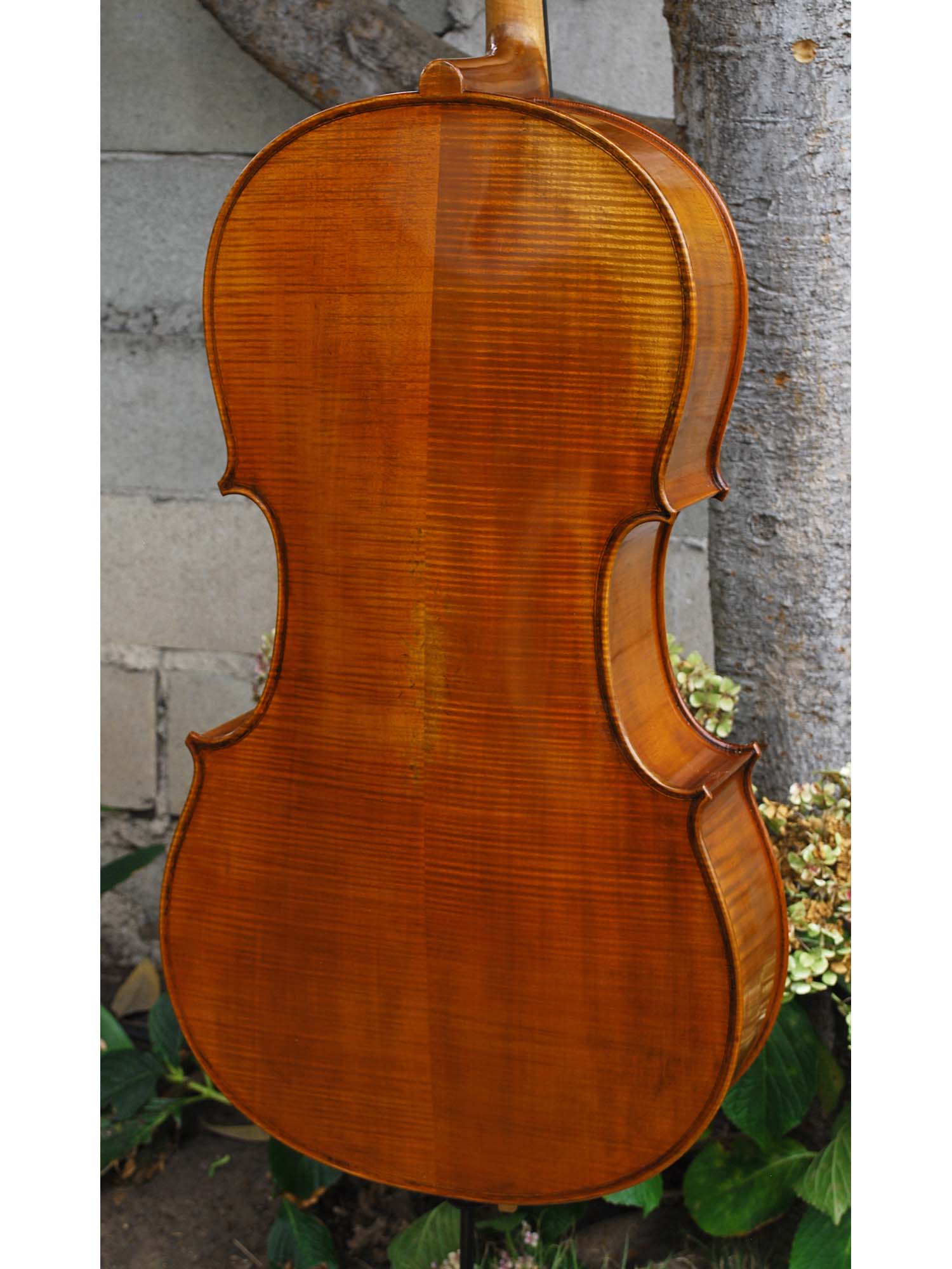Pietro Lombardi model 502 - 7/8 Cello