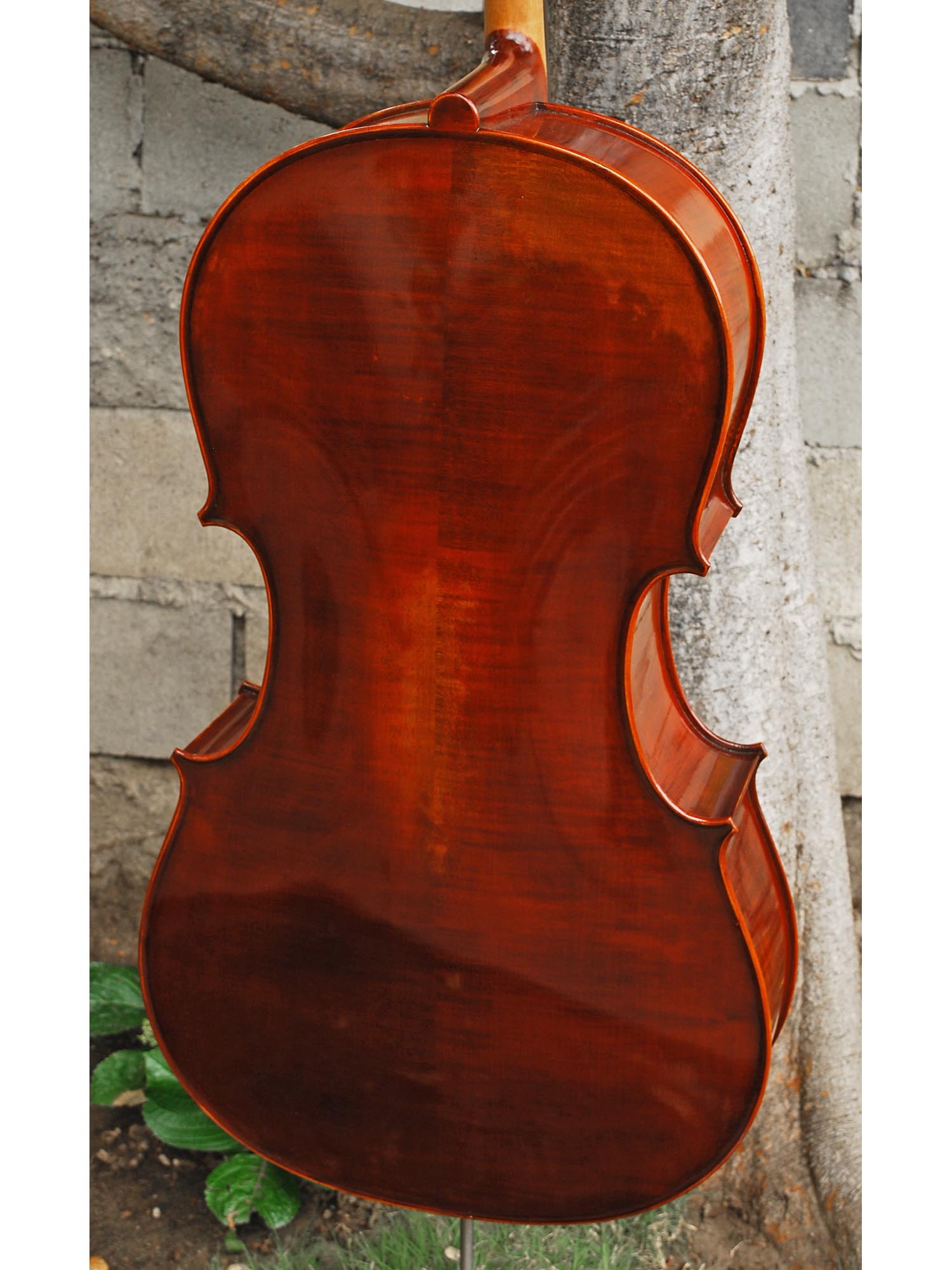 Jean-Pierre Lupot 'Strad' model 501 - 4/4 Cello