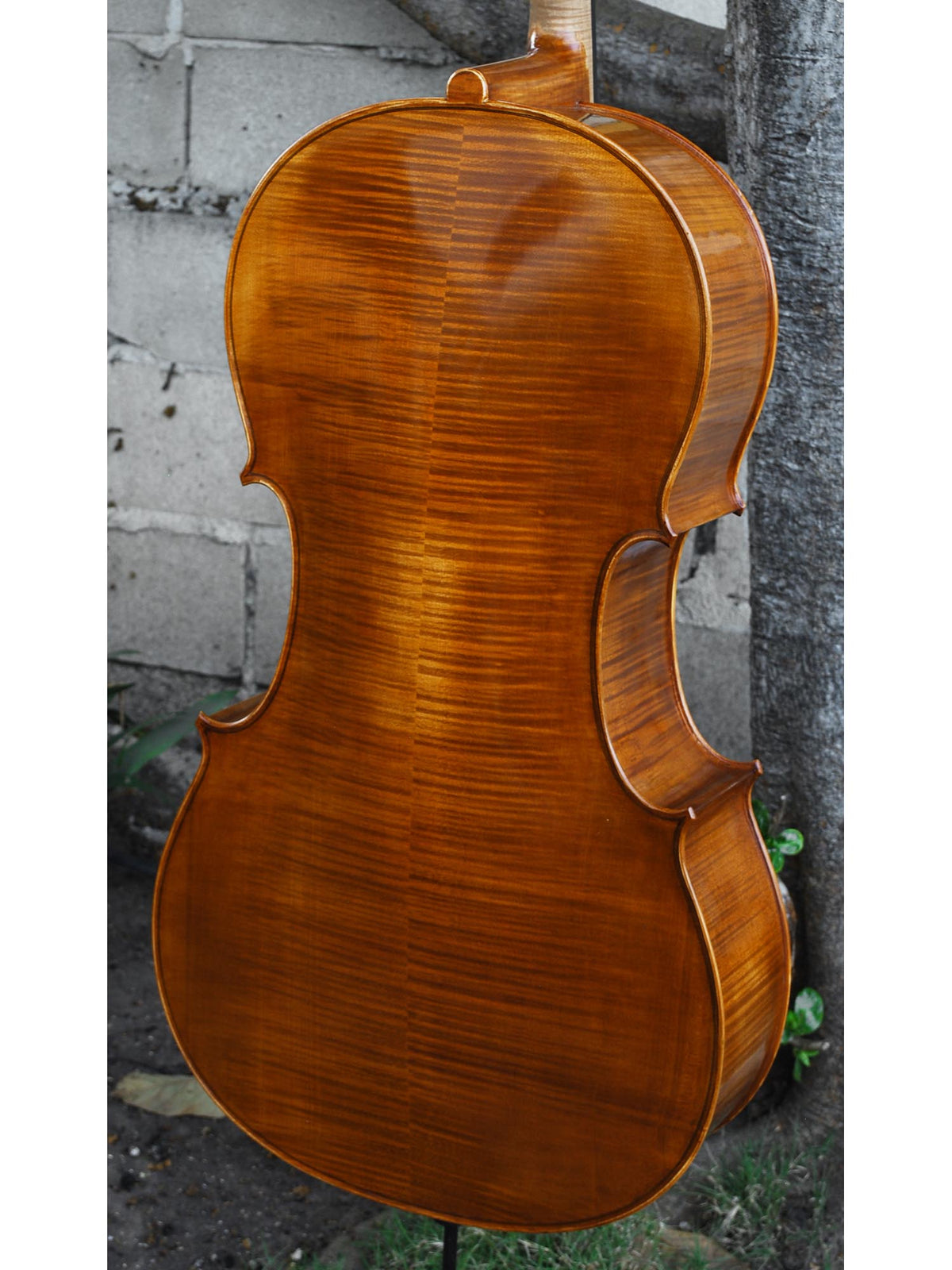 Victor Resca Model #7 4/4 Cello "BFF"