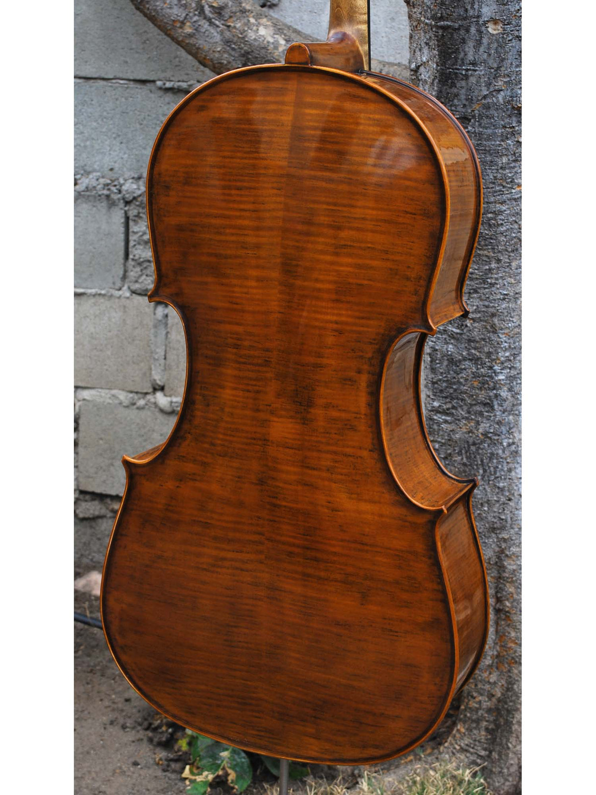 Nicholas Baciu #5 "Tiki Bob" (Romania) - 7/8 Cello