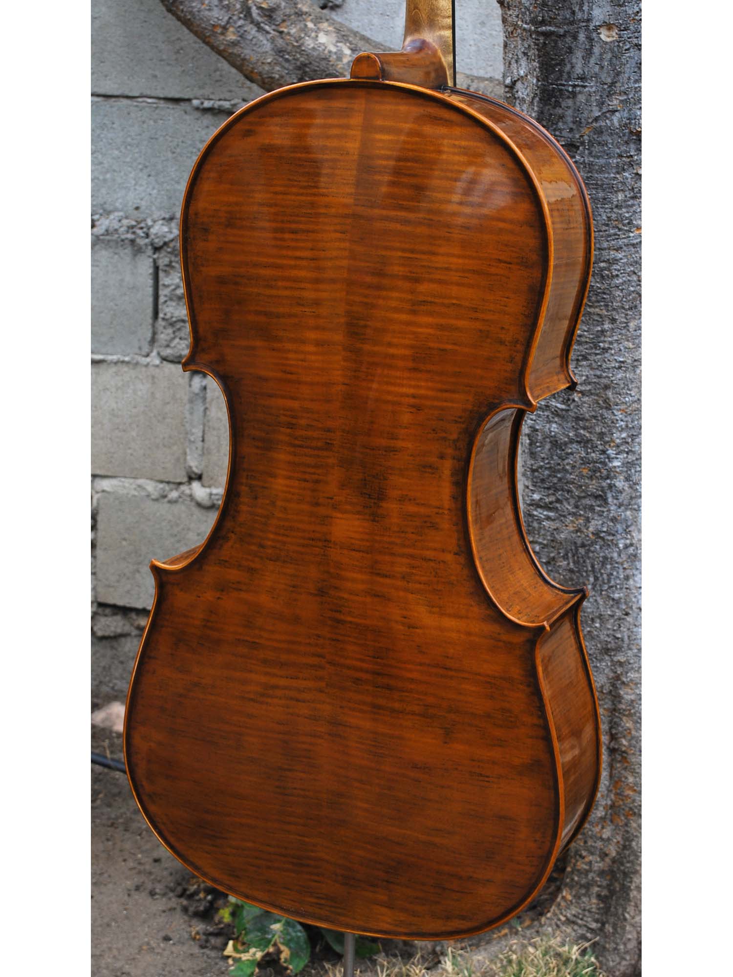 Nicholas Baciu #5 "Tiki Bob" (Romania) - 7/8 Cello