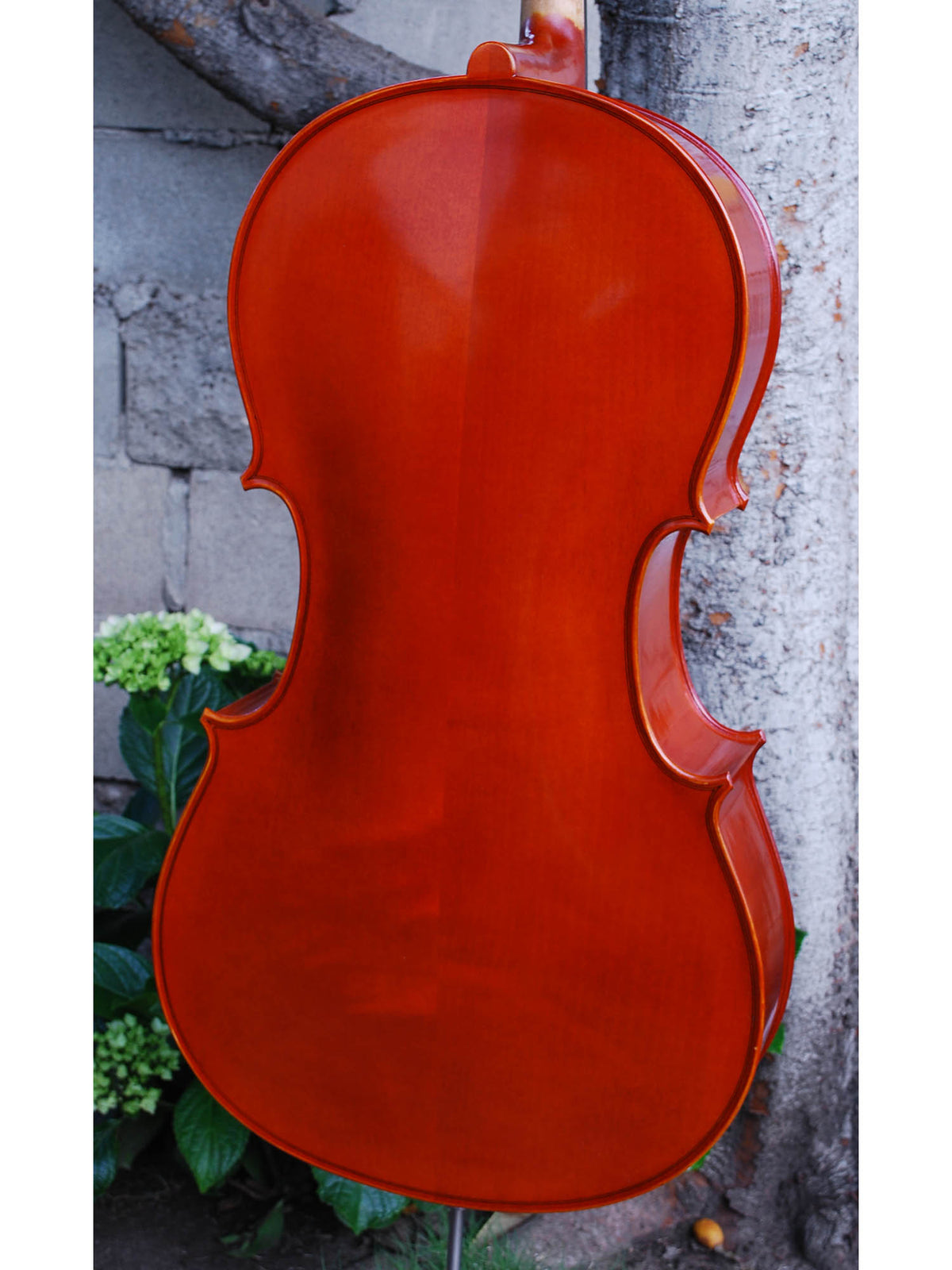 Johannes Seibert Model 250 'Stradivari' 7/8 Cello