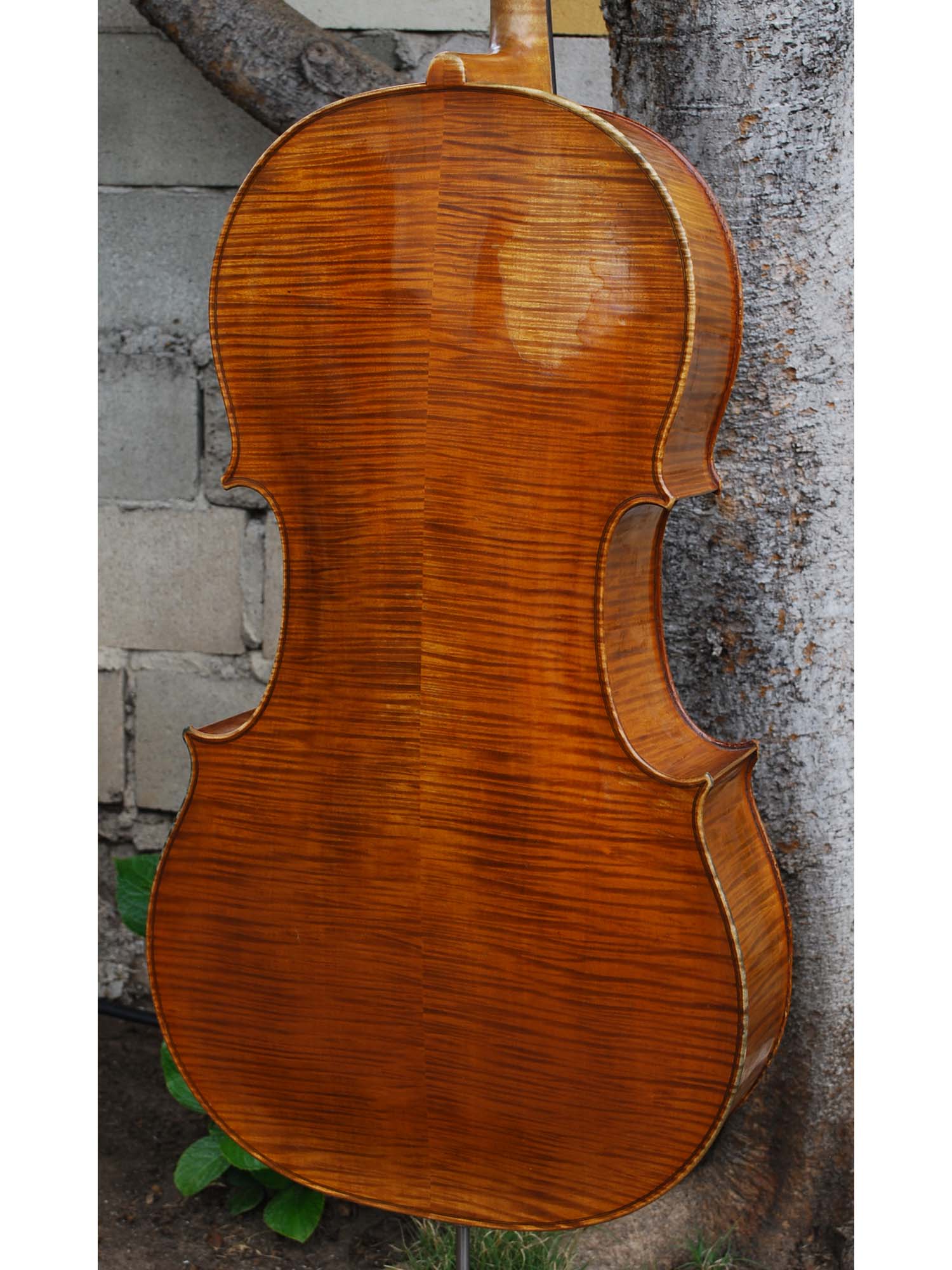 Paul Mangenot early 20th Century 4/4 Cello