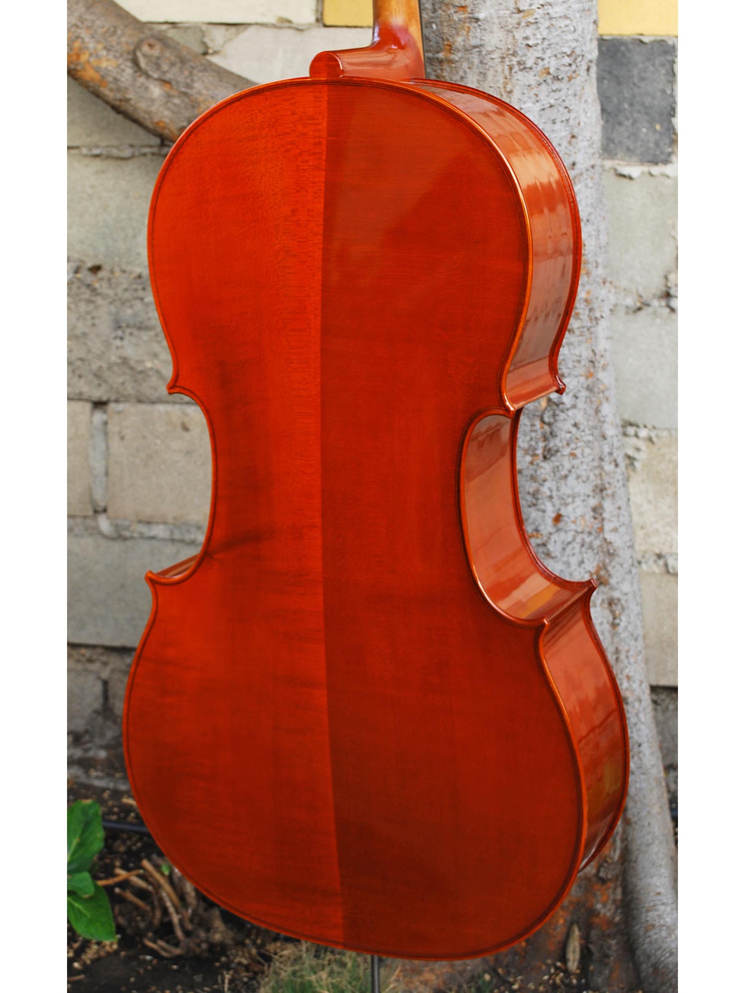 Angel Taylor model 120 4/4 Cello