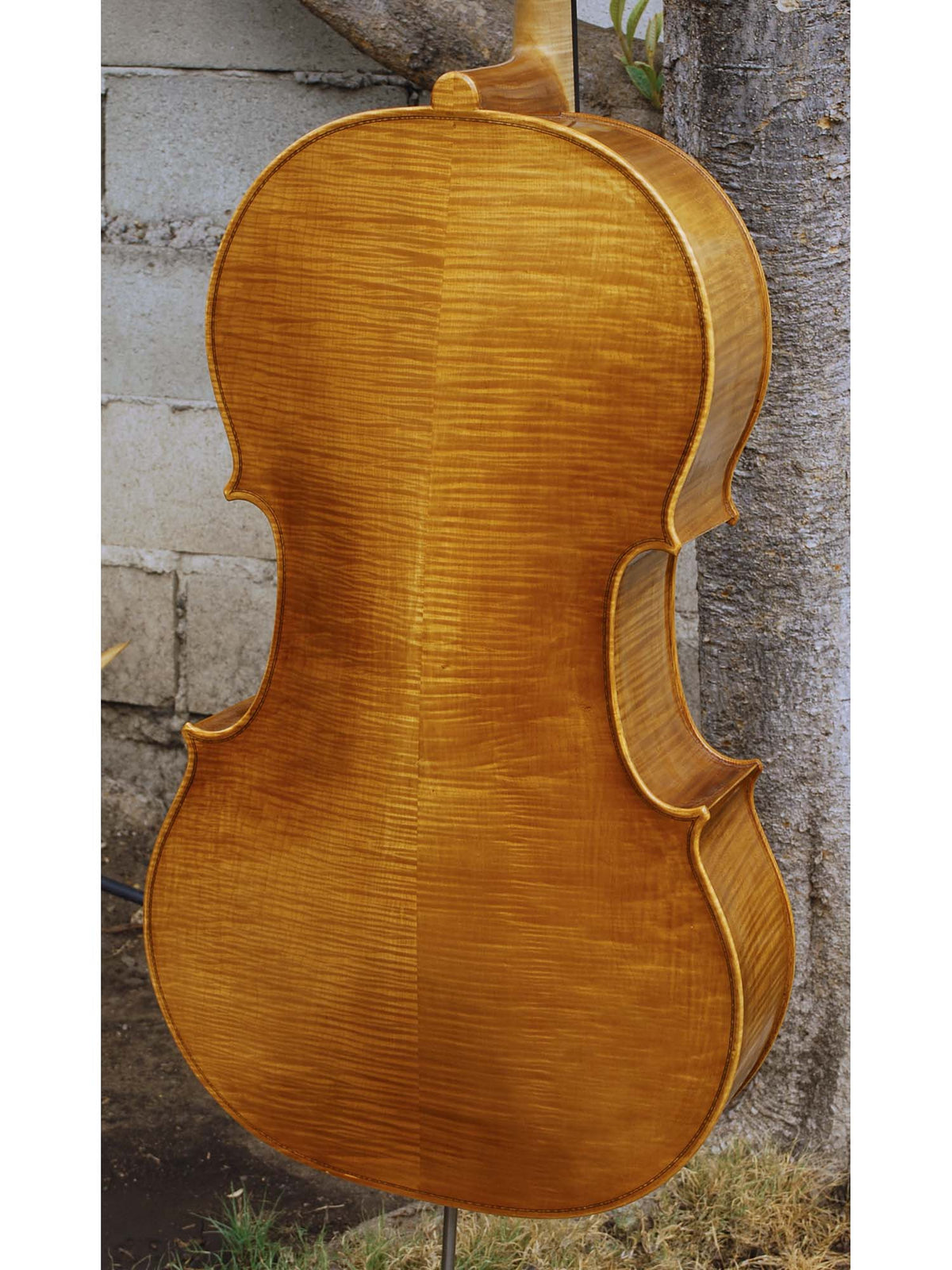 Tadeusz Slipek Master 'Jacobs' Golden 4/4 Cello
