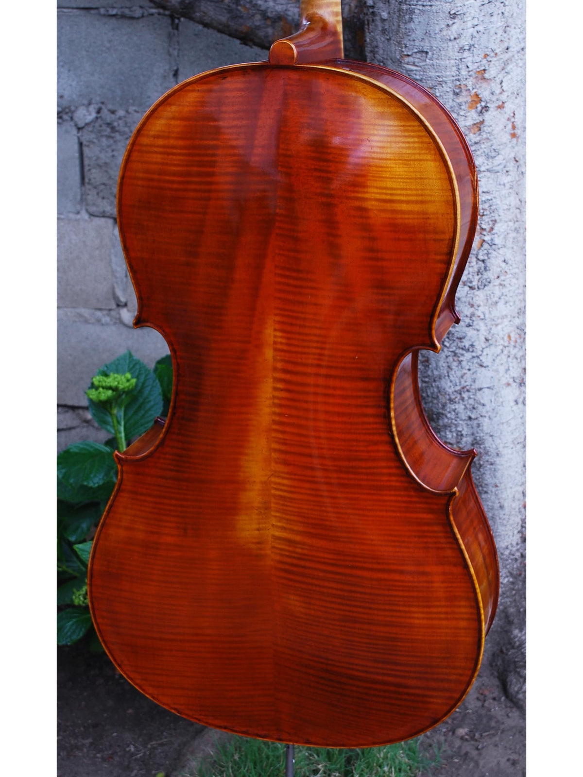Dimbath/Gill Master Soloist model X7 'Ruggeri' Cello
