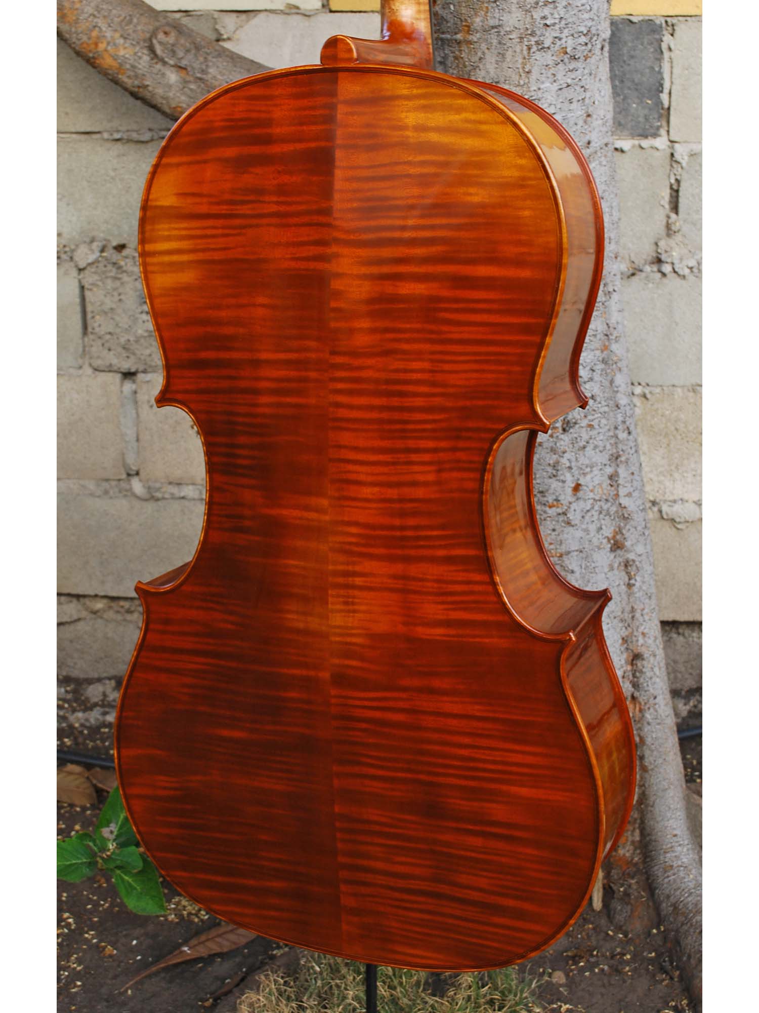 C.L. Wynn 520 'Rogeri' 4/4 Cello