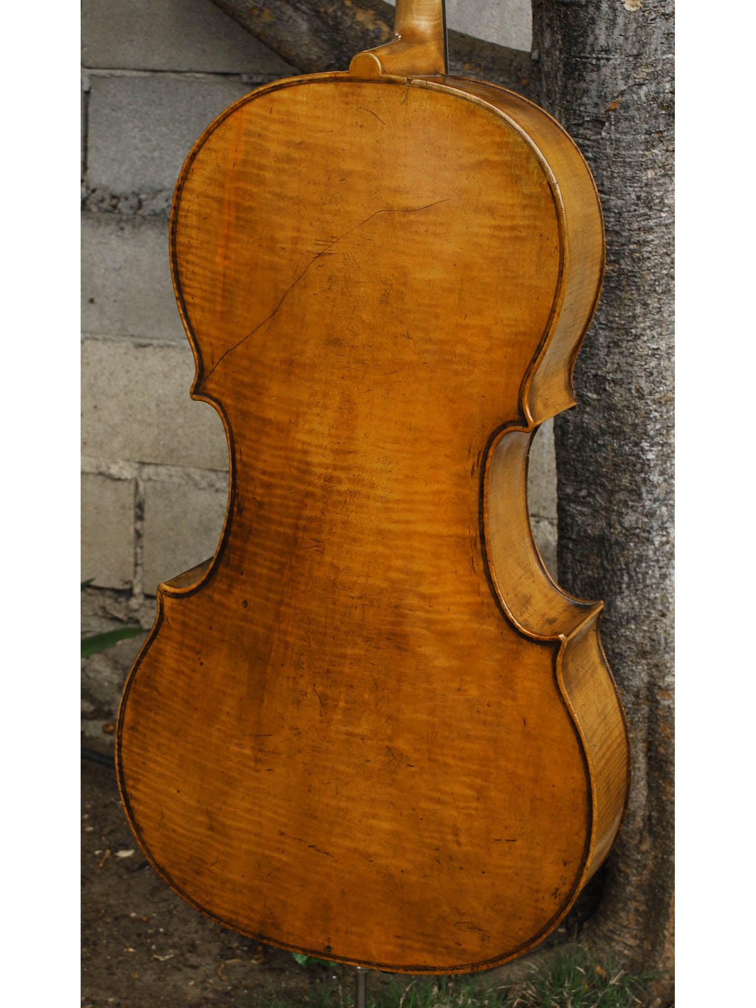 Old Cello labeled 'Ferdinandus Gagliano 1761' - 4/4 Cello