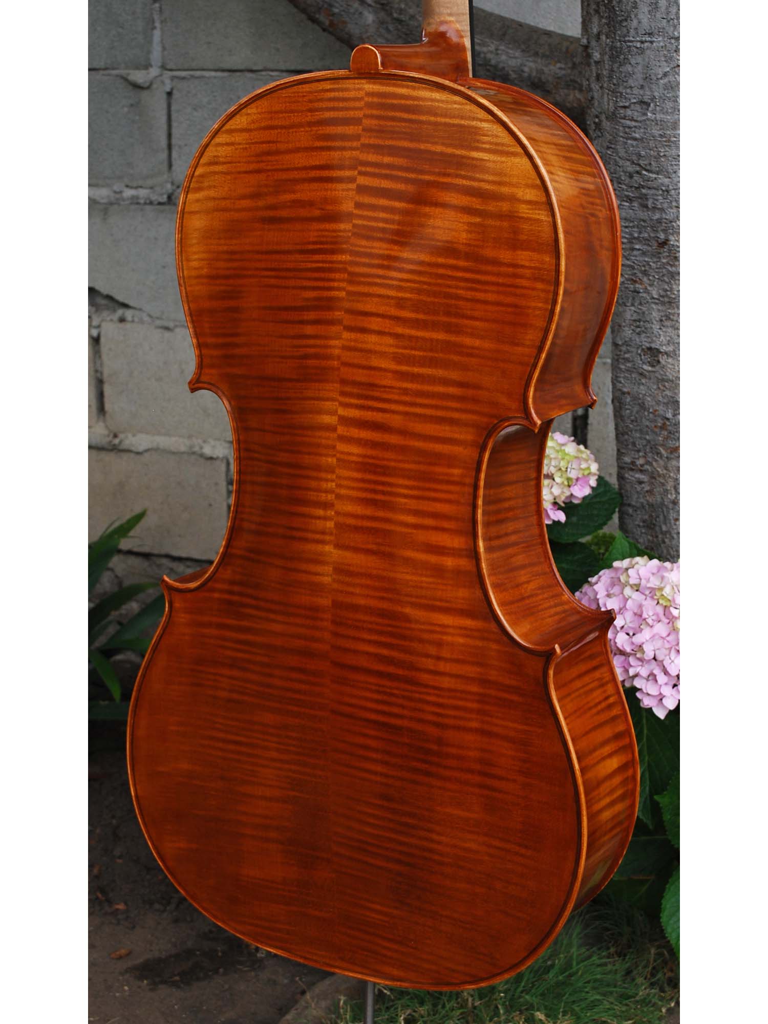 Victor Resca Model #6 4/4 Cello