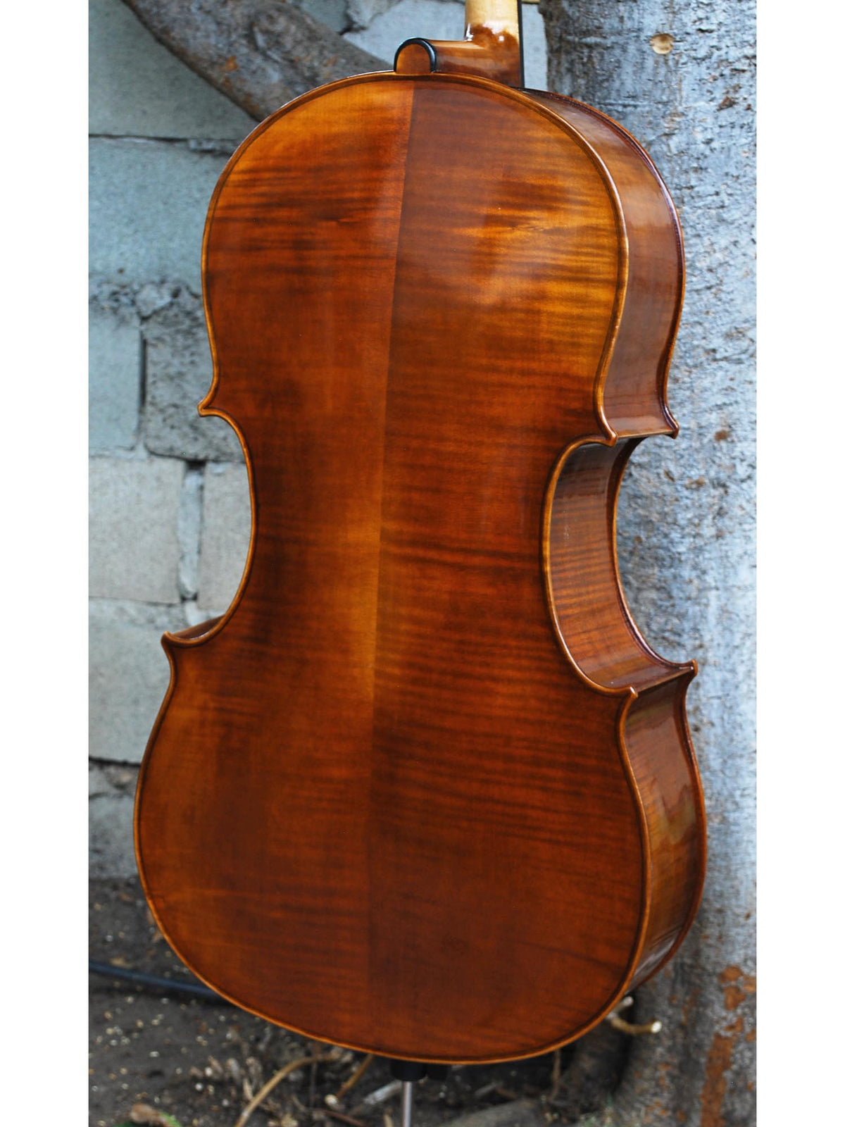 Vivo Guadagnini 1777 'Simpson' Replica 4/4 Cello (25017)