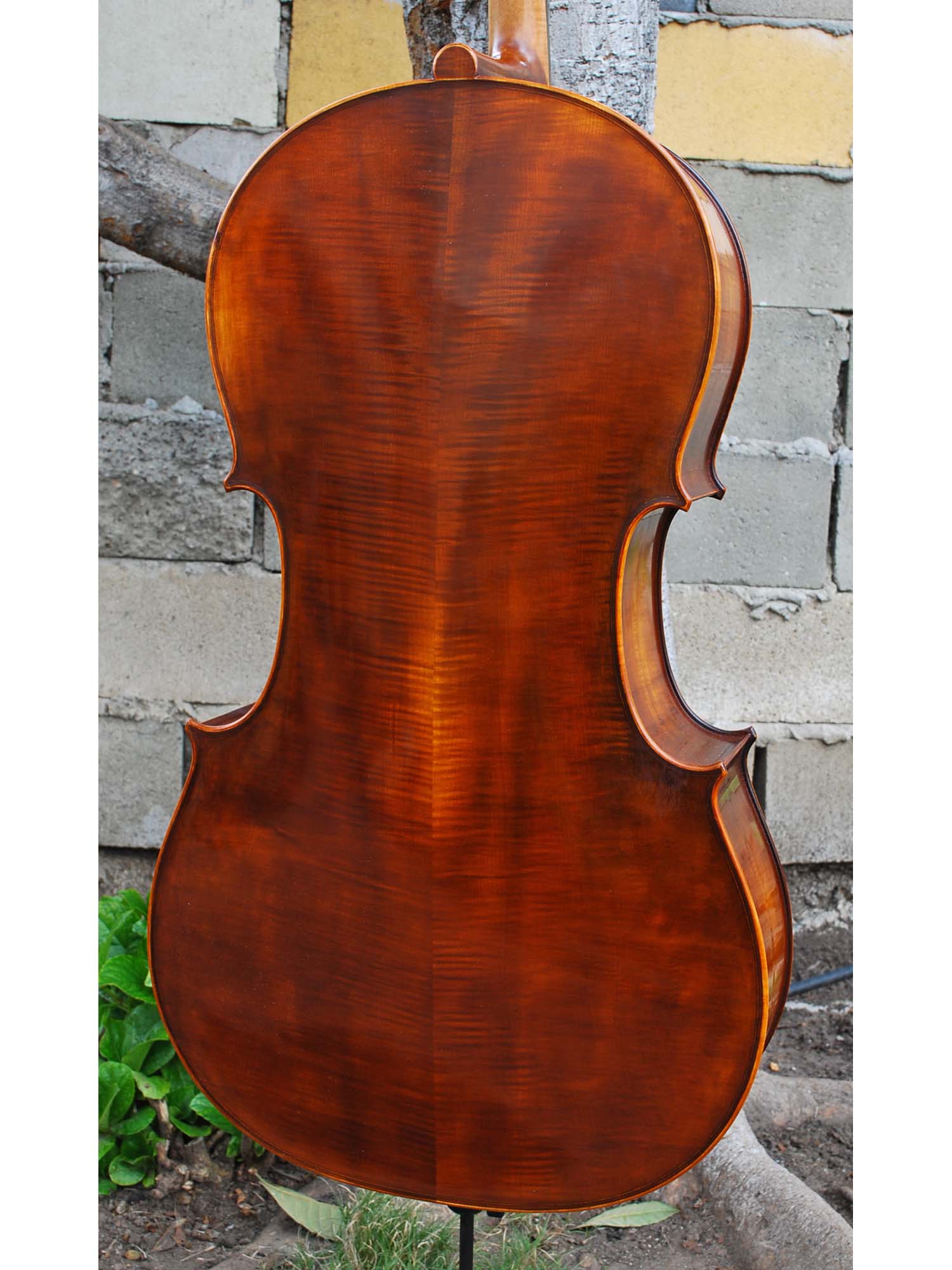 Angel Taylor model 320 - 4/4 Cello