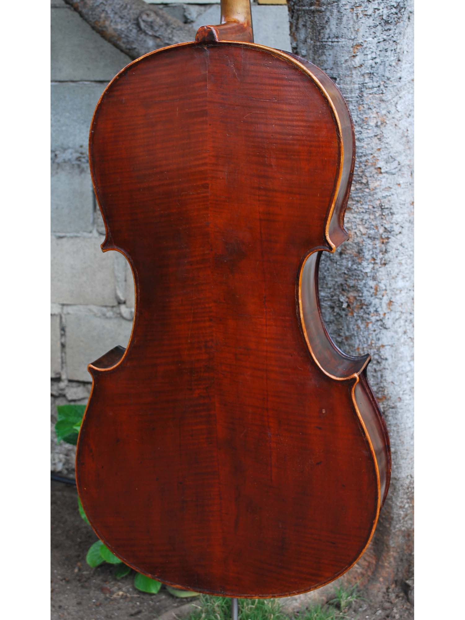 Dark Old Cello Unlabeled 4/4 Cello