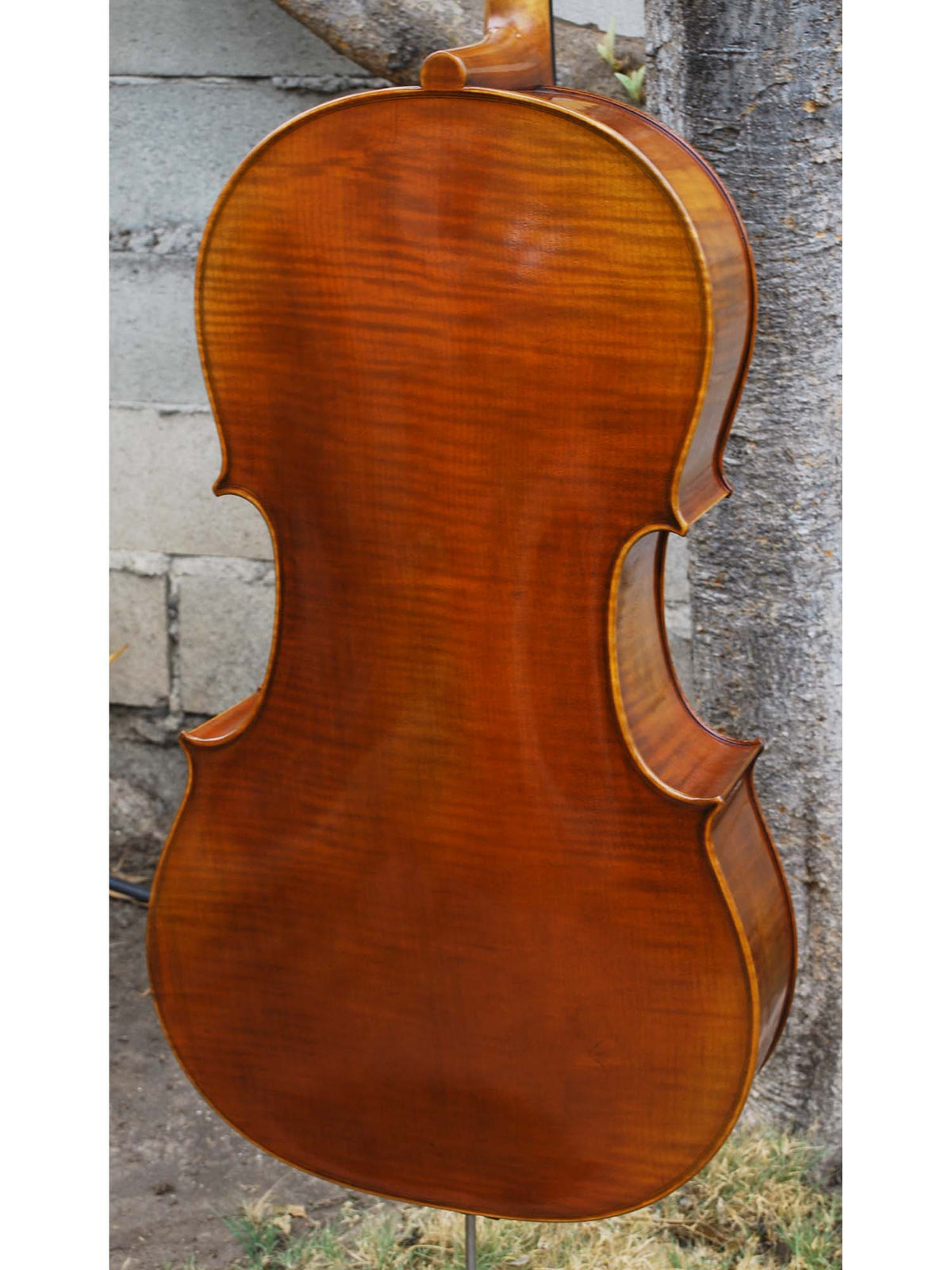 Hans Werner 725 'Master' 4/4 Cello