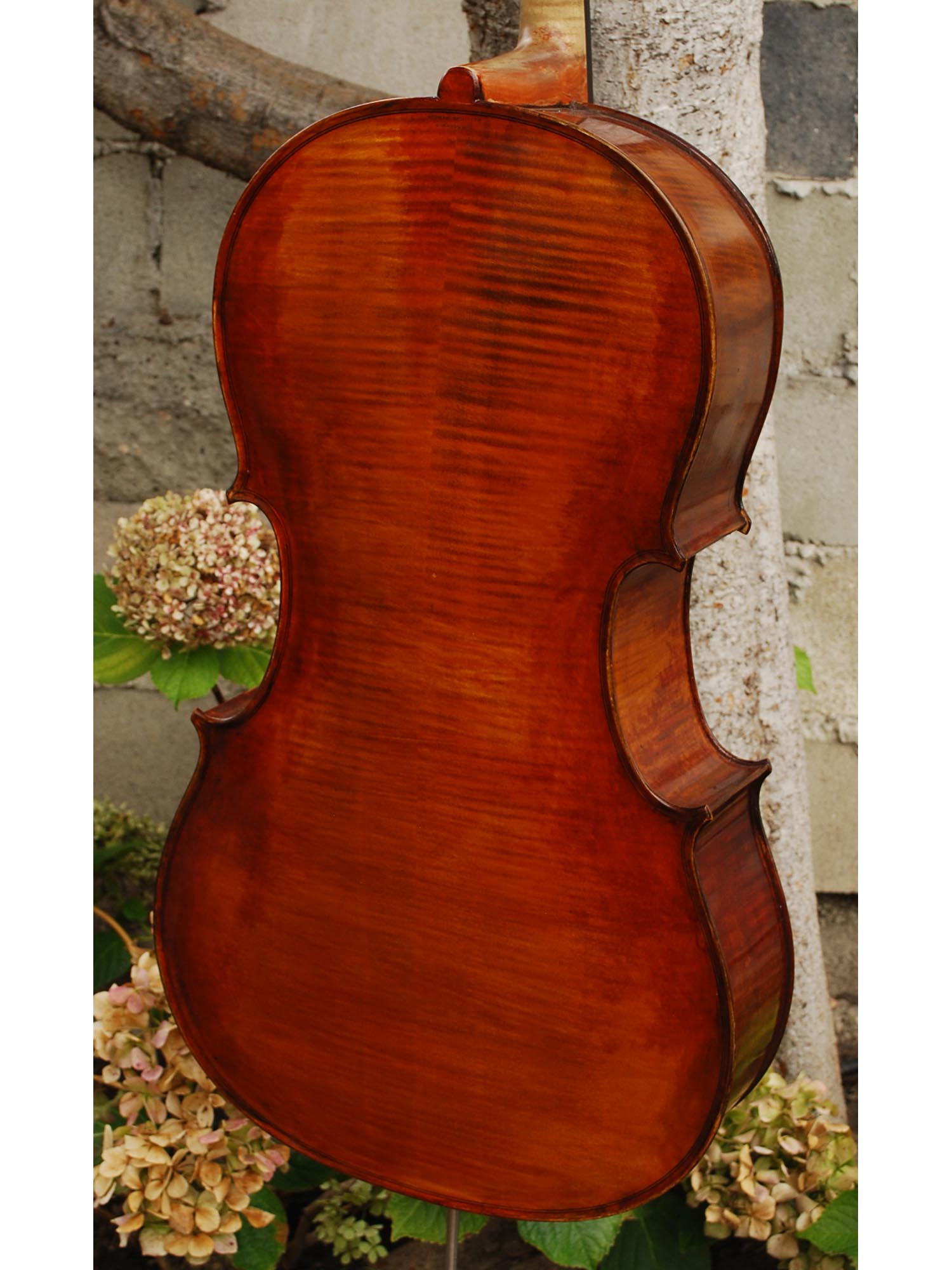 Herman Schaller 'Gofriller' 1/2 Cello