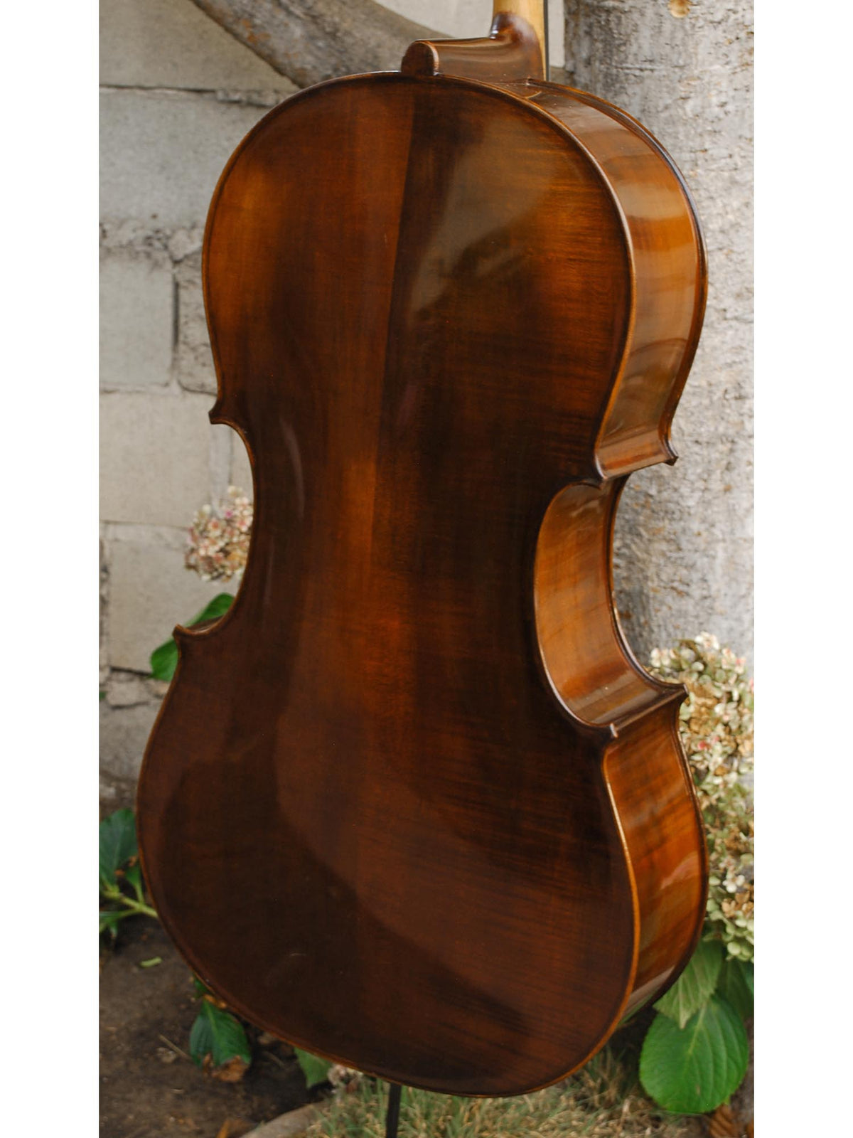 Eastman model 305 'Strad'  - 4/4 Cello (A)