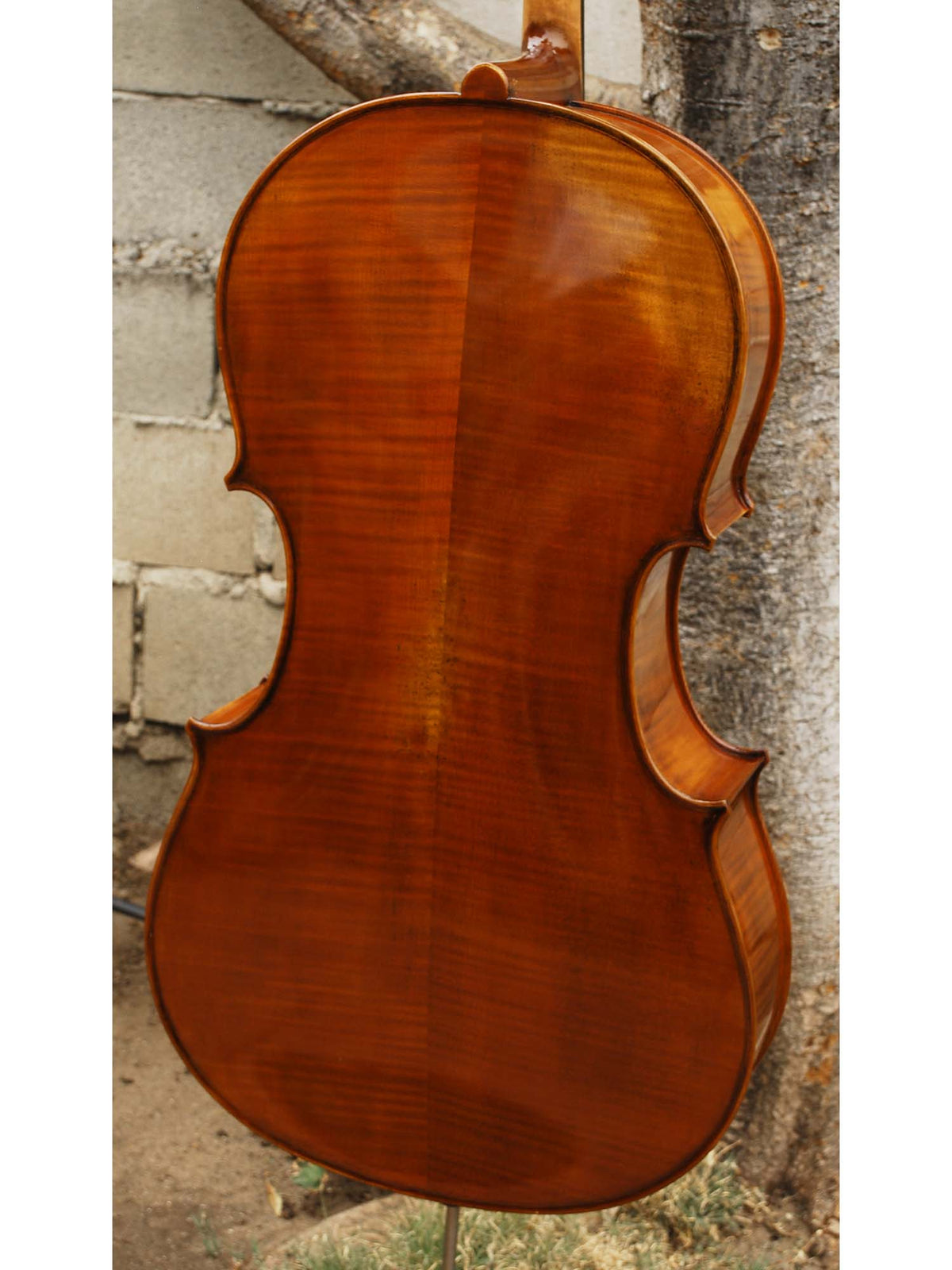Pietro Lombardi 502 'Stradivari' 4/4 Cello