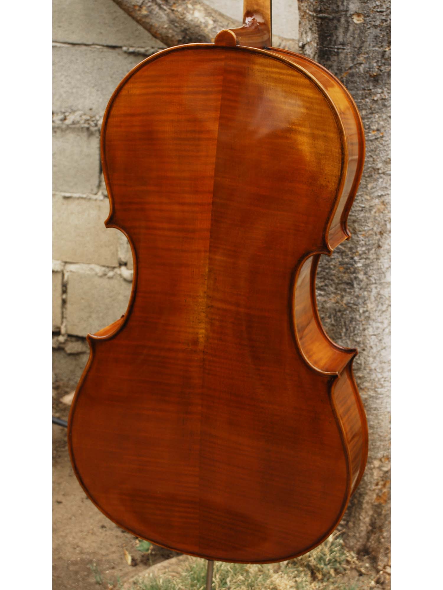 Pietro Lombardi 502 'Stradivari' 4/4 Cello