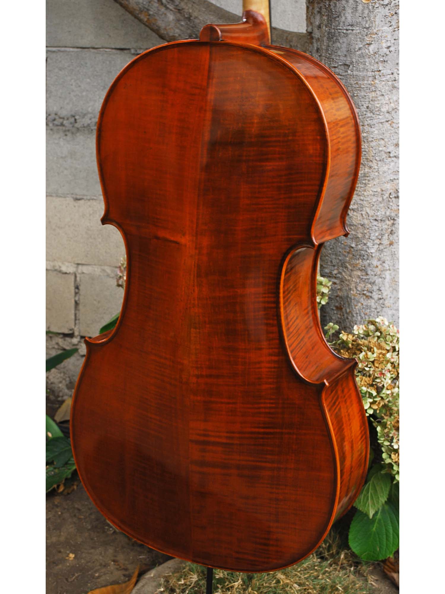 Ivan Dunov model 401 'Strad'  - 4/4 Cello (B)