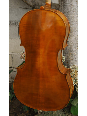 Nicholas Baciu #5 7/8 Cello (Romania) (121584)