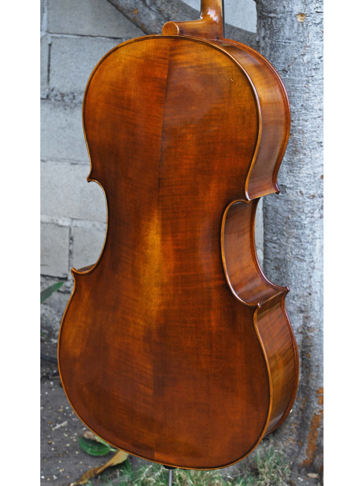 Vivo model 400 Strad 4/4 Cello (B)