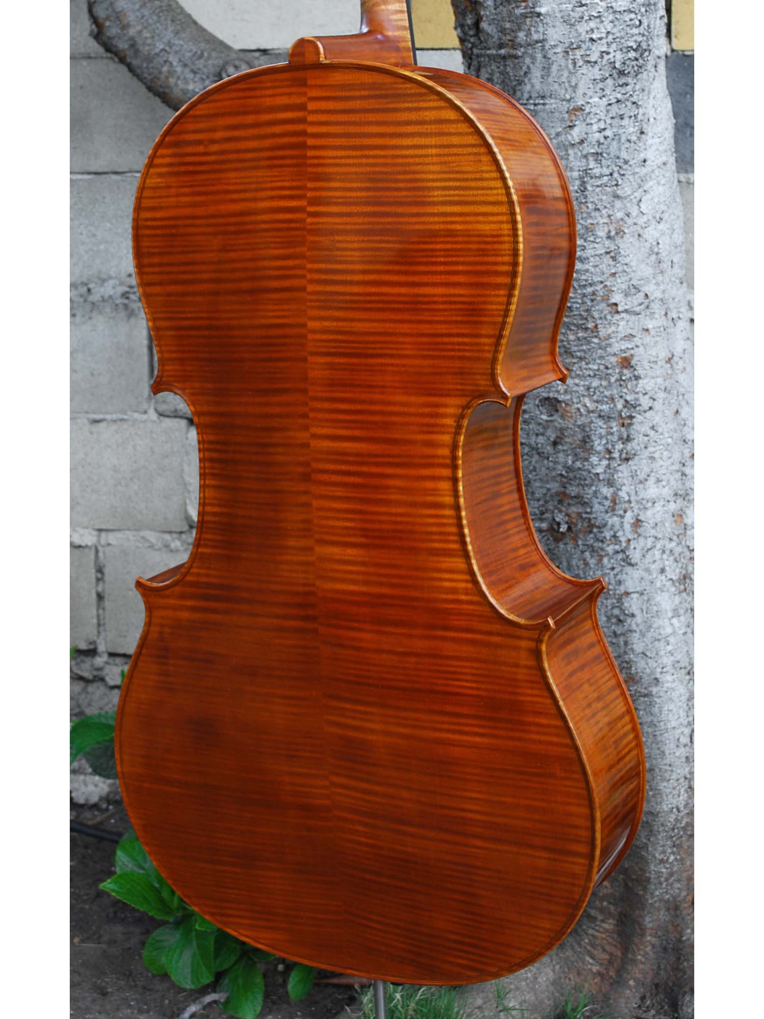 Calin Wultur #7 4/4 Cello