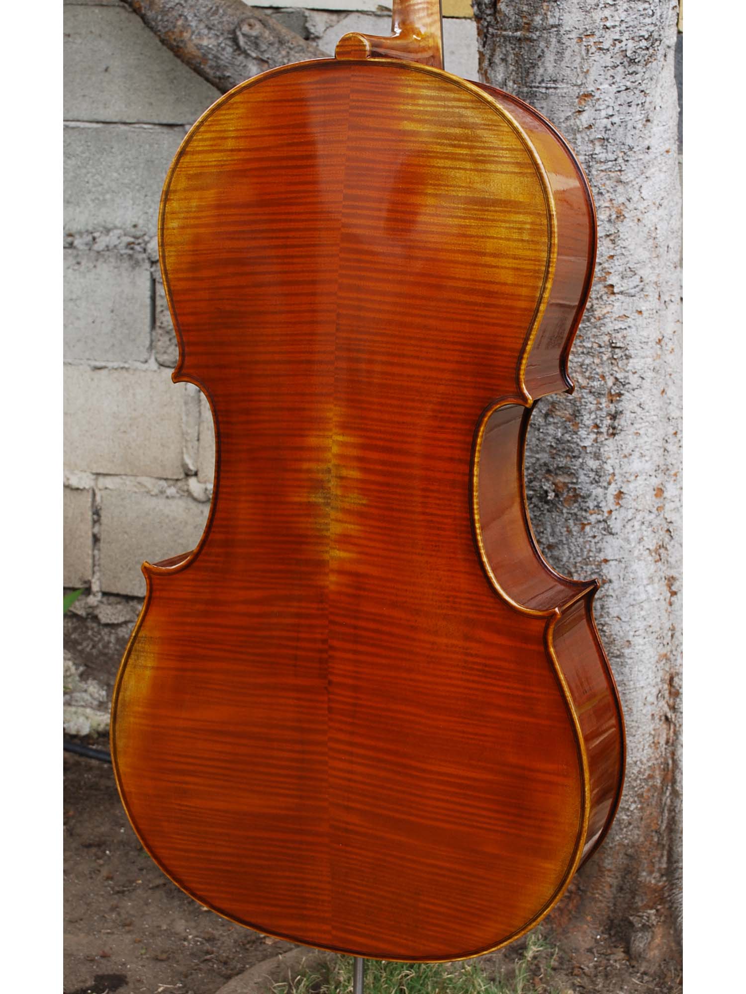 Antonio Fiorini 650 'Strad' 4/4 Cello