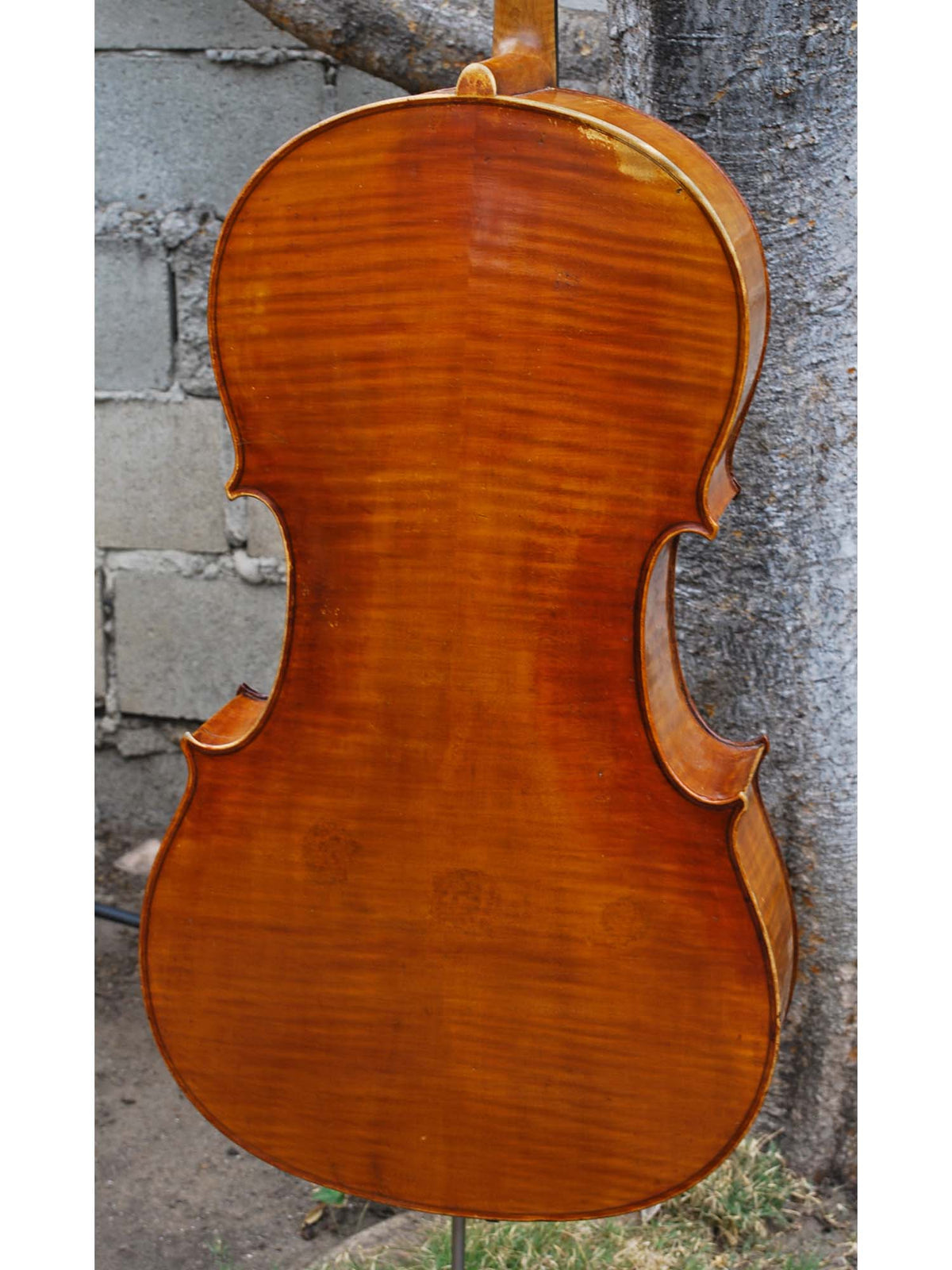 J.W. Schult early 20th Century - 4/4 Cello