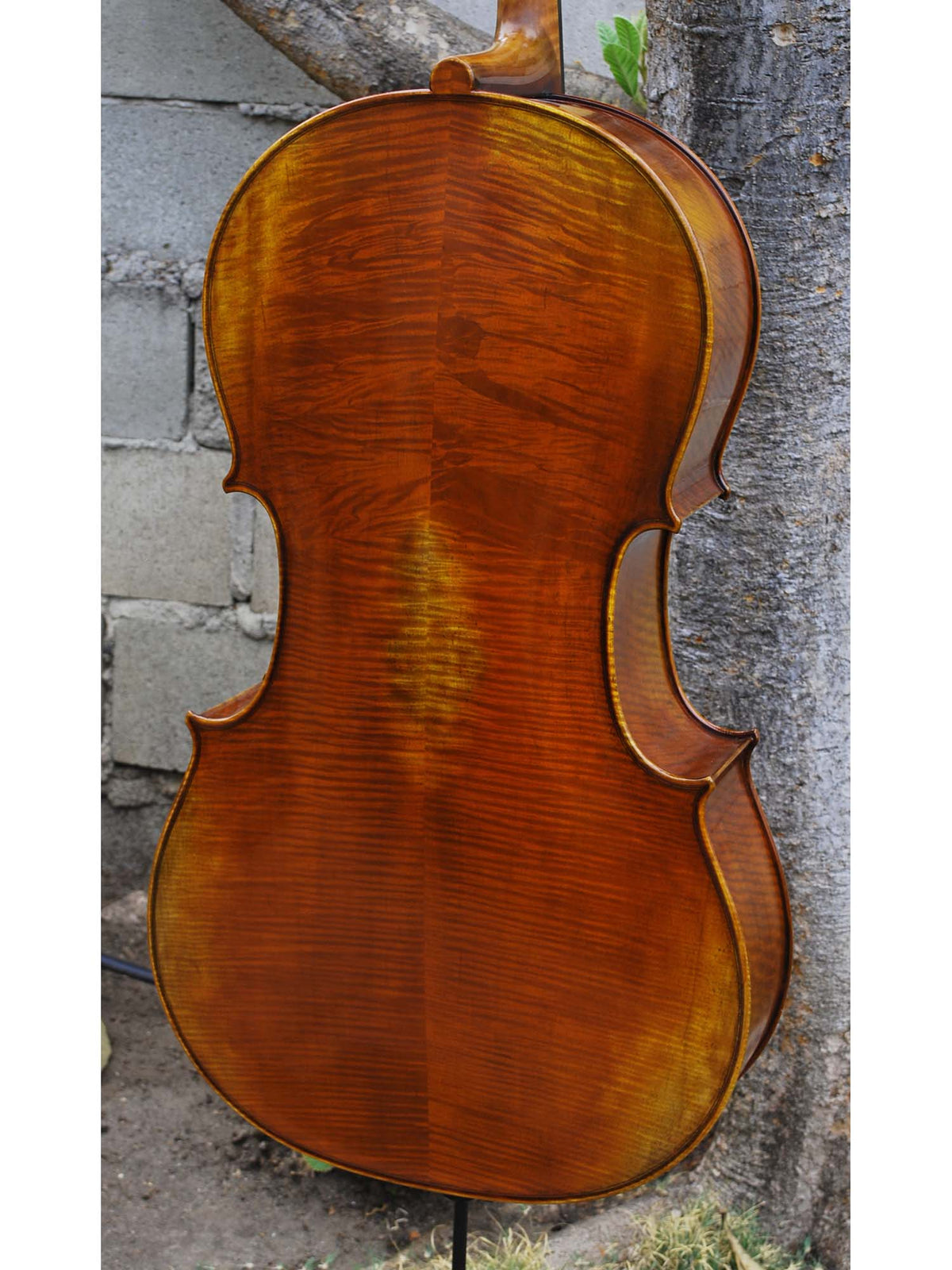 Antonio Fiorini 650 'Stradivari' - 7/8 Cello