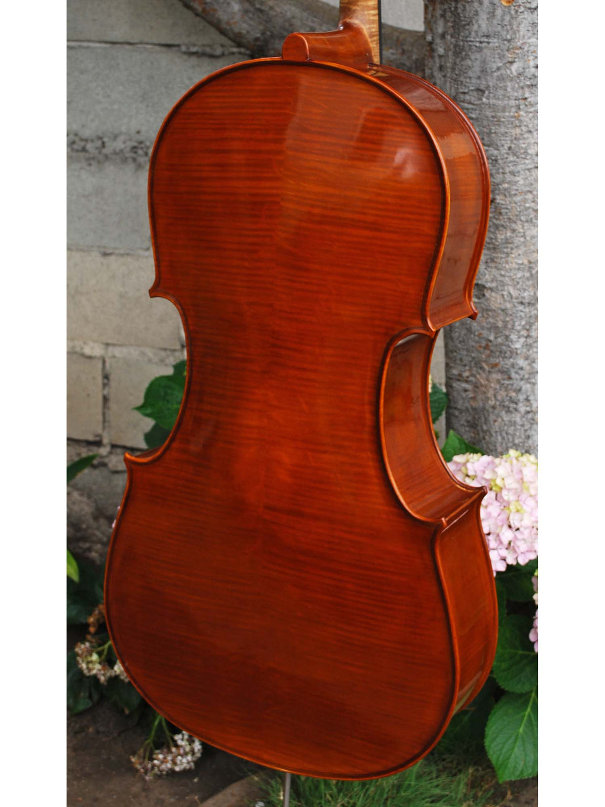 Nicholas Baciu #5 7/8 Cello (Romania) (121594)