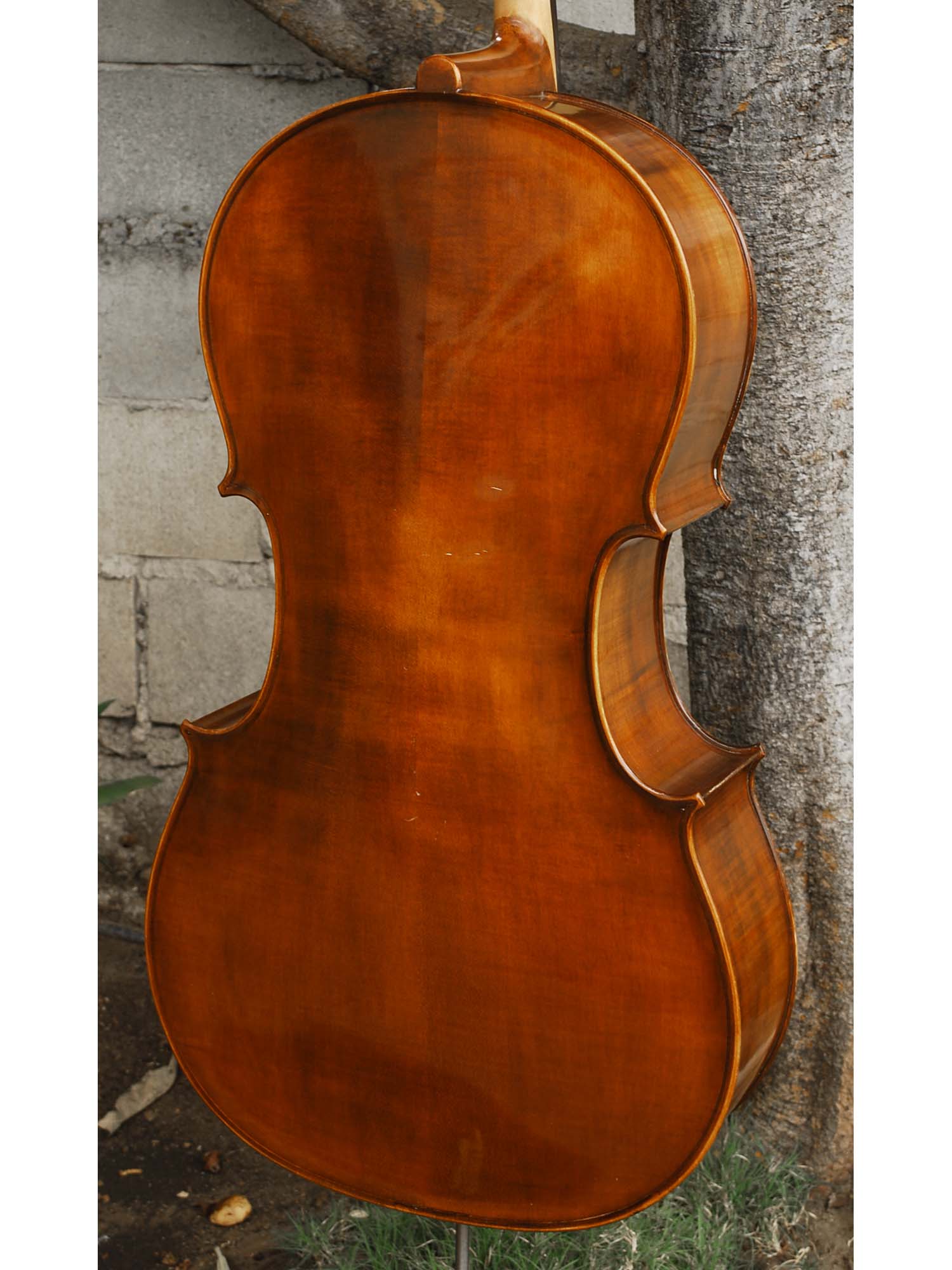 Eastman model 315 4/4 Cello