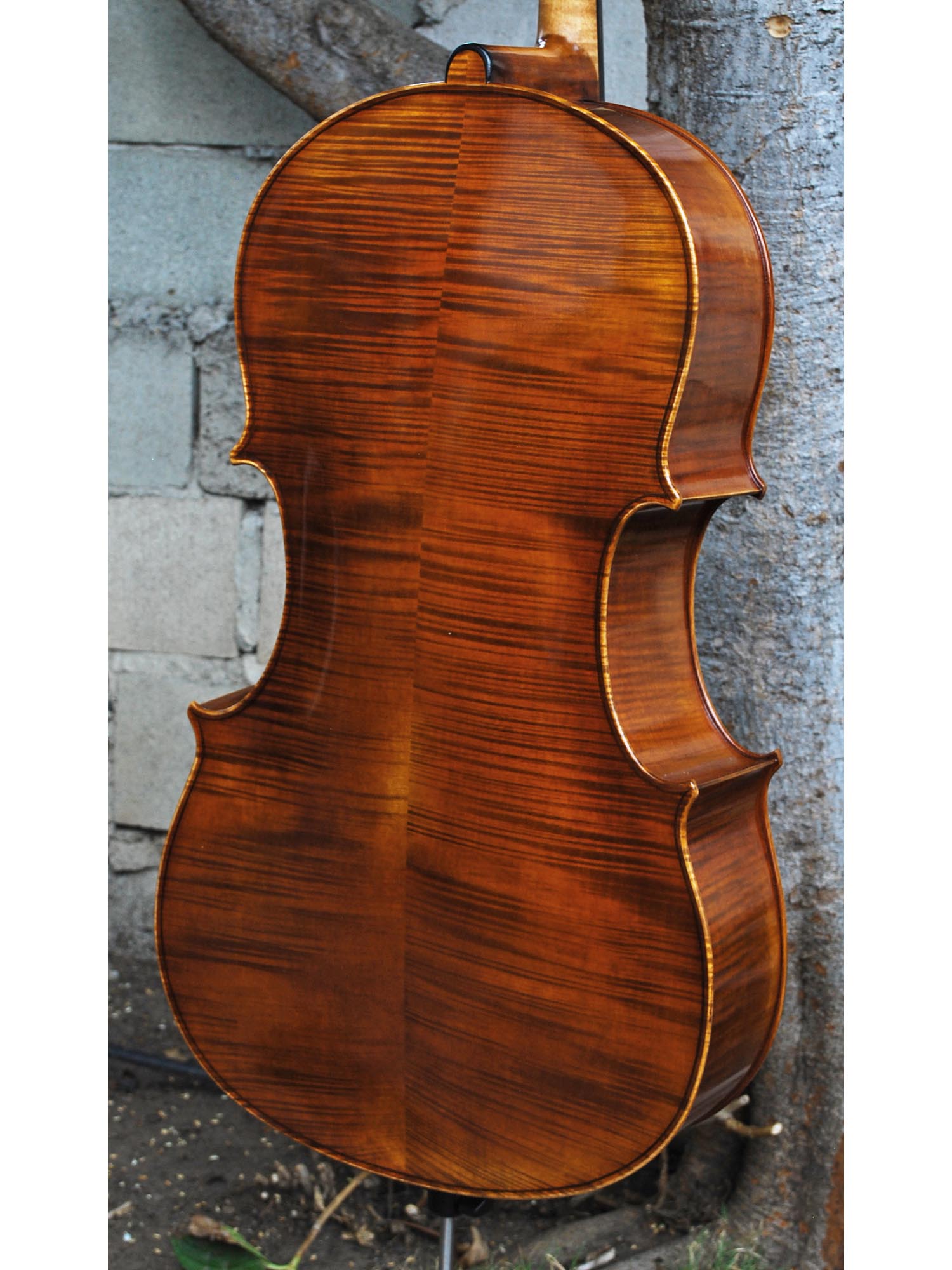 Vivo Guadagnini 1777 'Simpson' Replica 4/4 Cello (25097)
