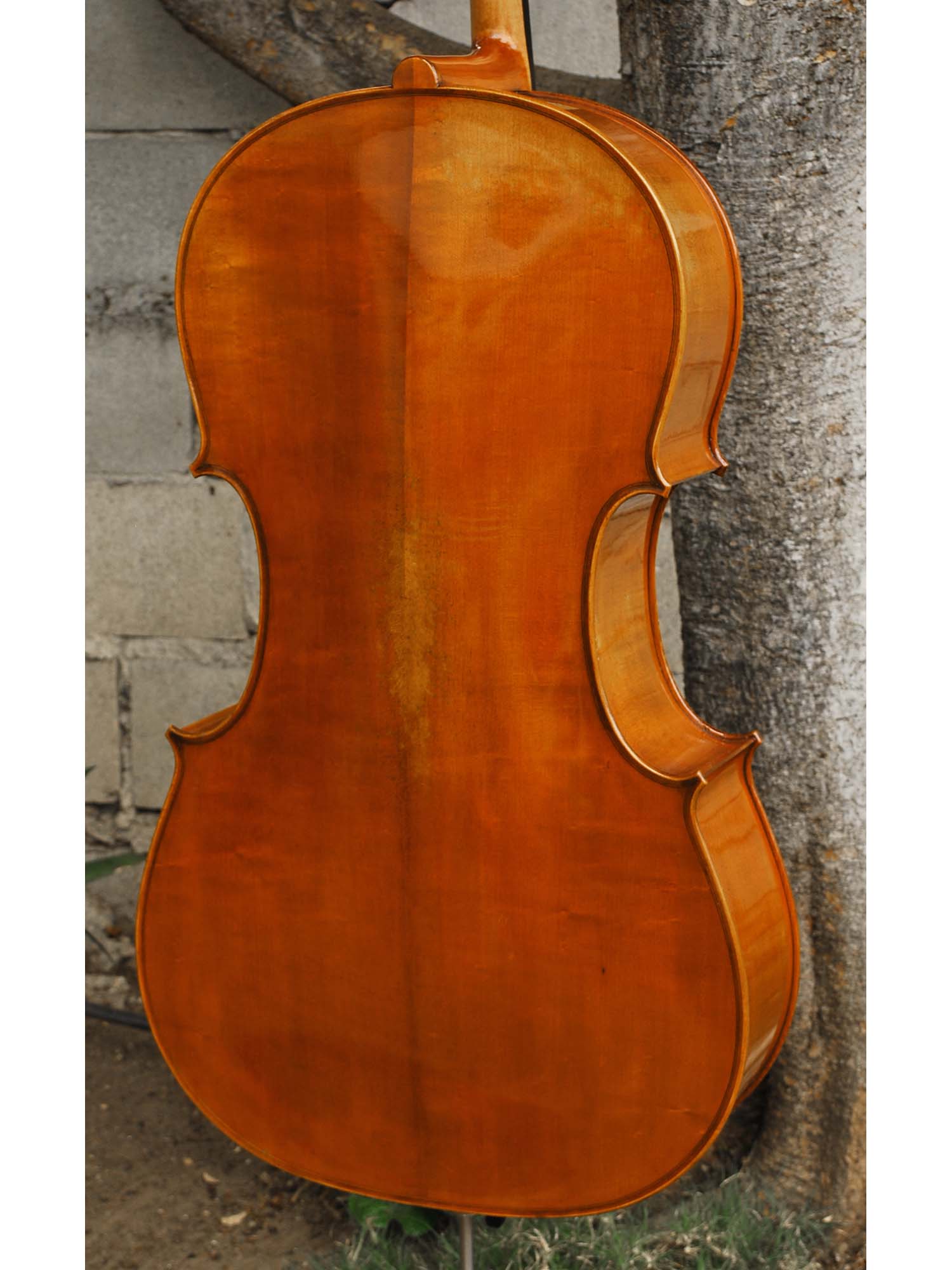 Albert Nebel model 601 'Guarneri del Gesu' - 4/4 Cello