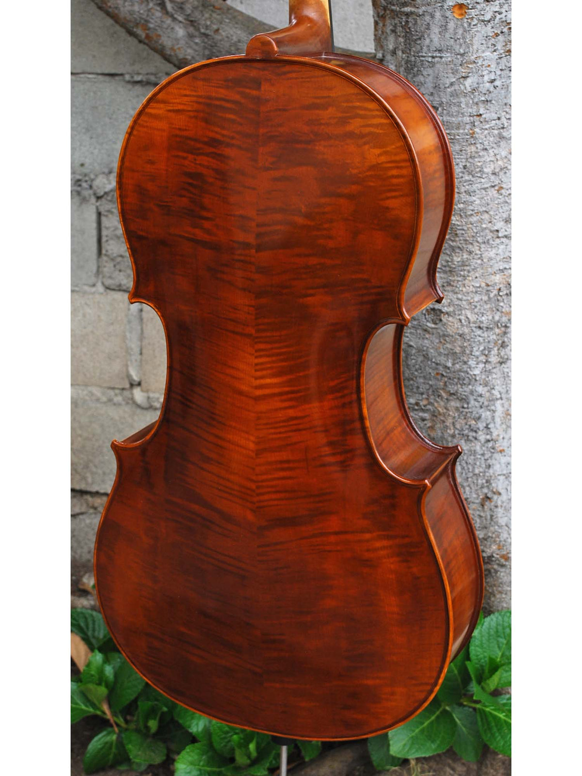 Vivo Strad model 200 3/4 Cello