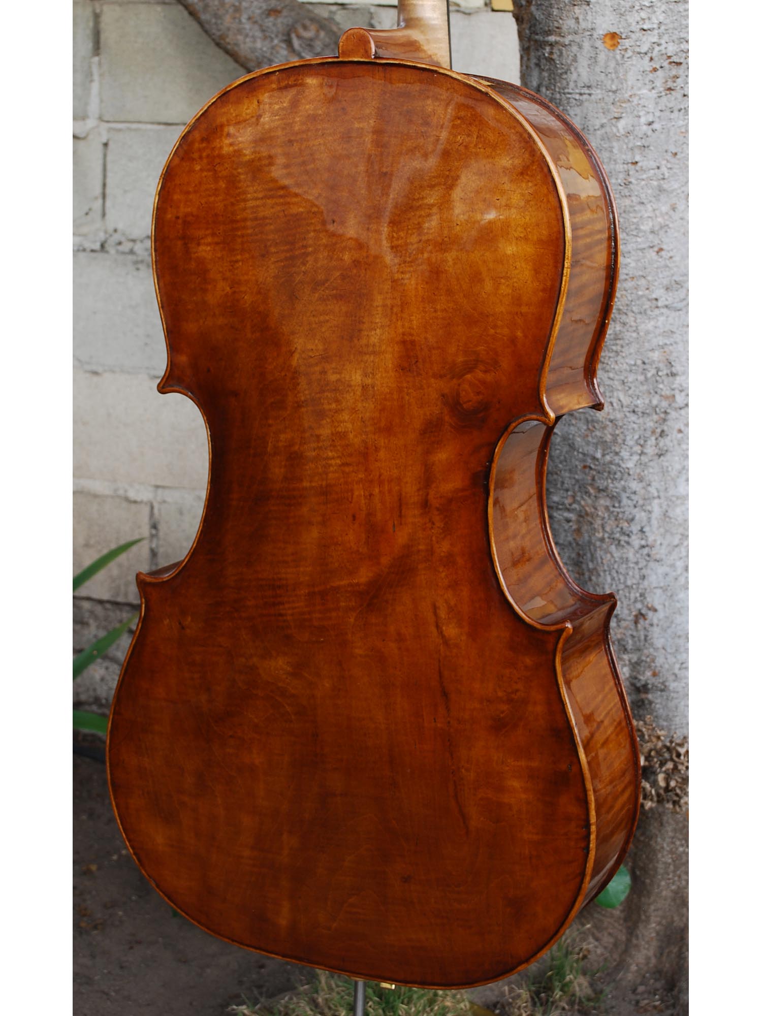 Wojciech Topa Master 4/4 Cello (2016)