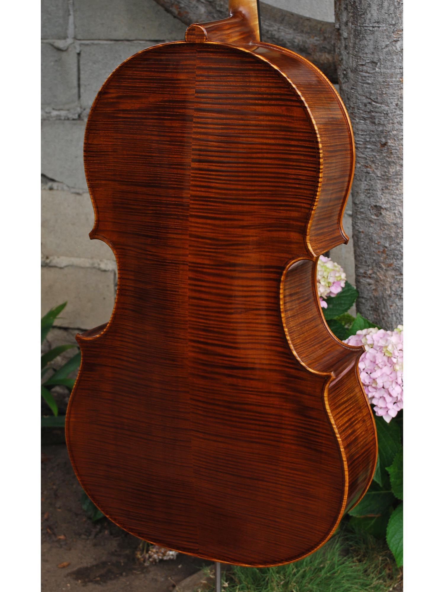 Tadeusz Slipek Master 'Jacobs' 4/4 Cello.