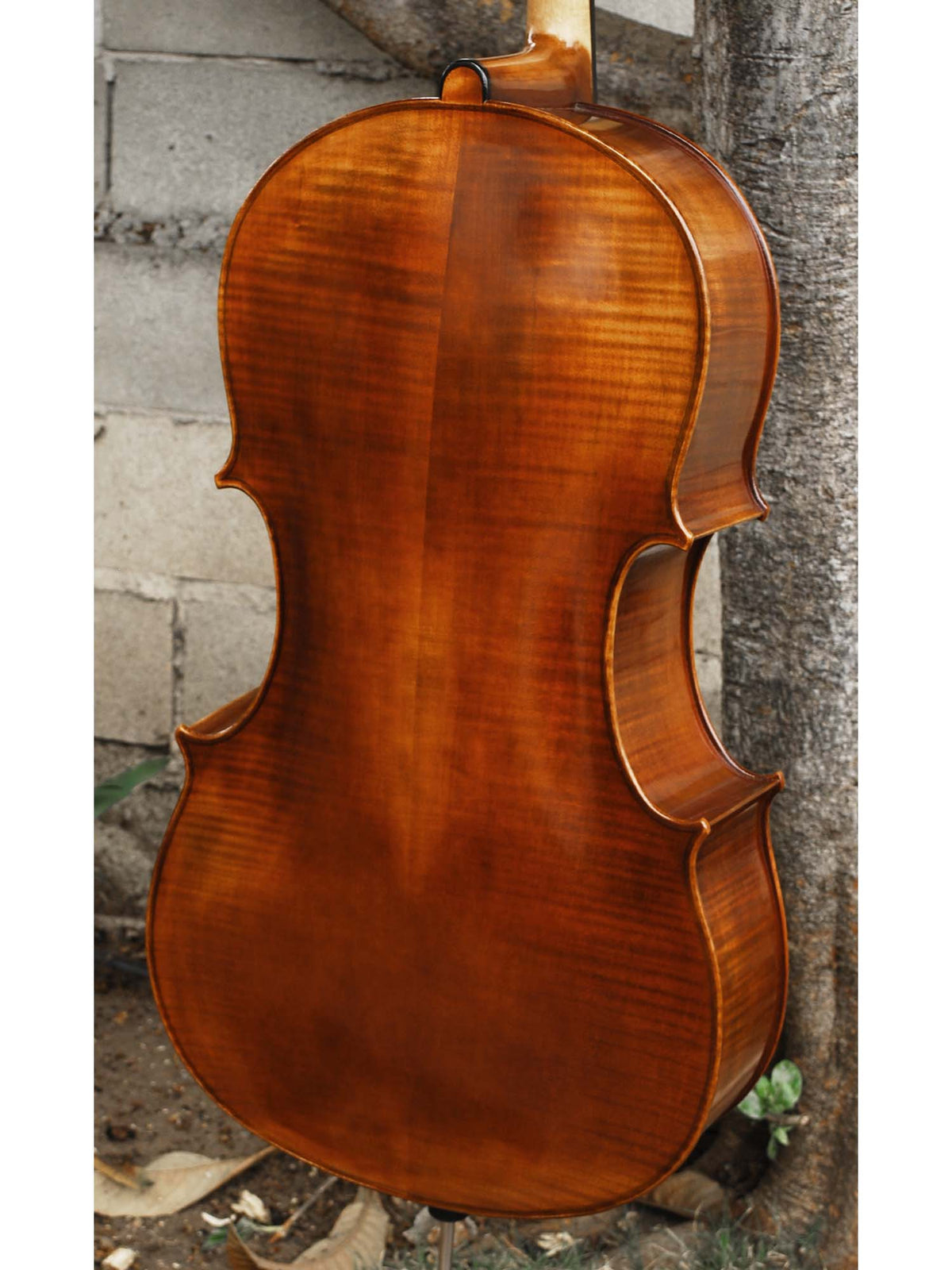 Vivo Guadagnini 1777 'Simpson' Replica 4/4 Cello (26024)