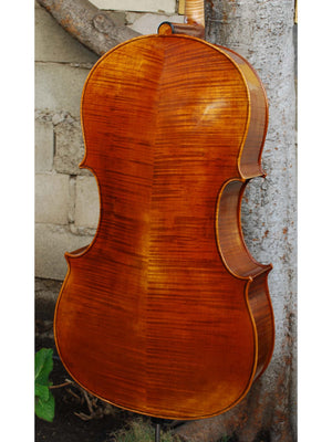 Vivo model 20EG Guadagnini 1777 Replica 4/4 Cello (B)