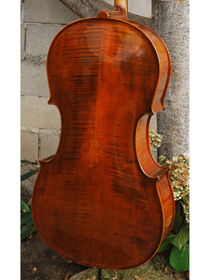 Ivan Dunov model 401 'Strad'  - 4/4 Cello (A)