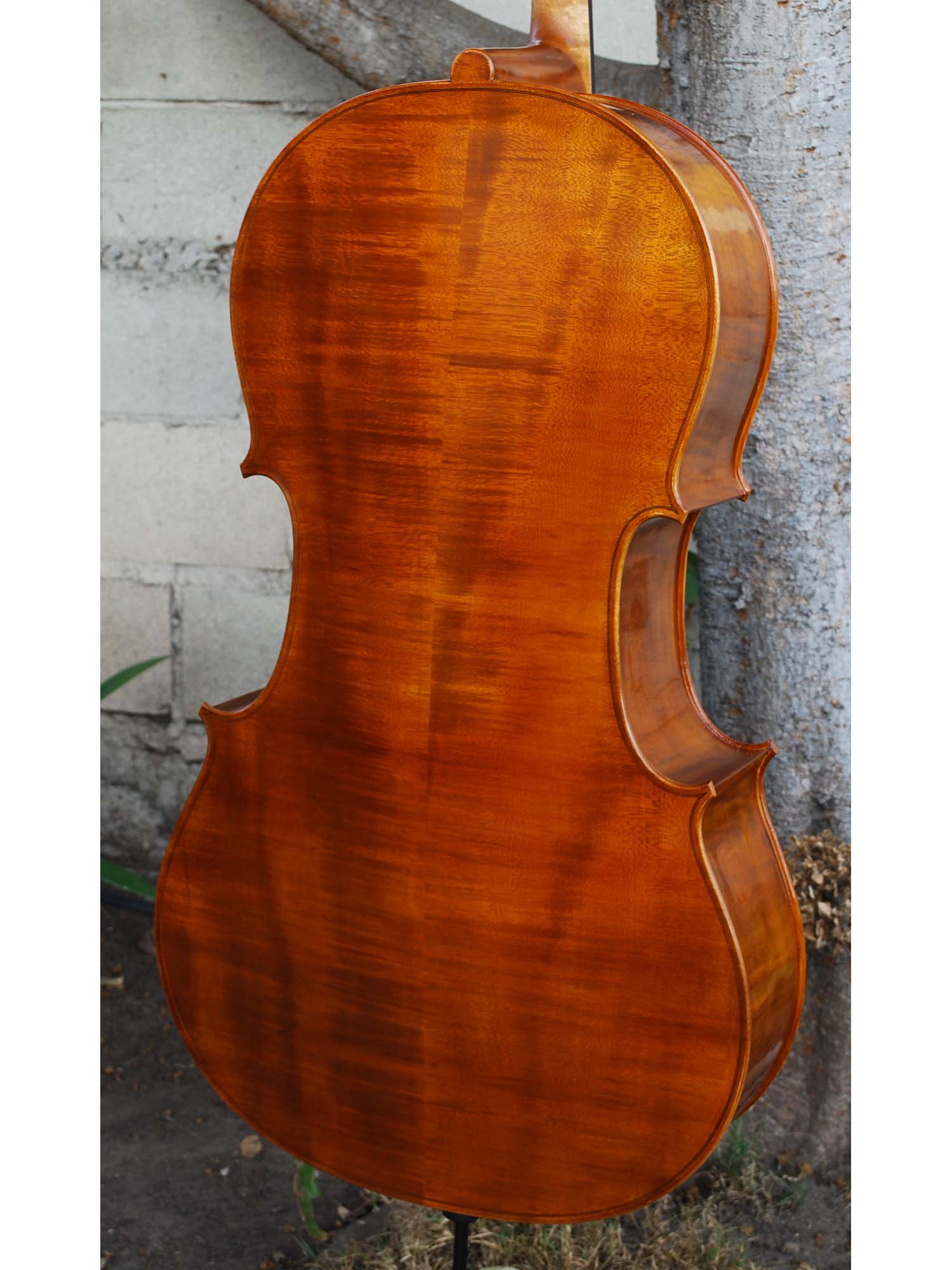 New and Used Cellos Tagged 