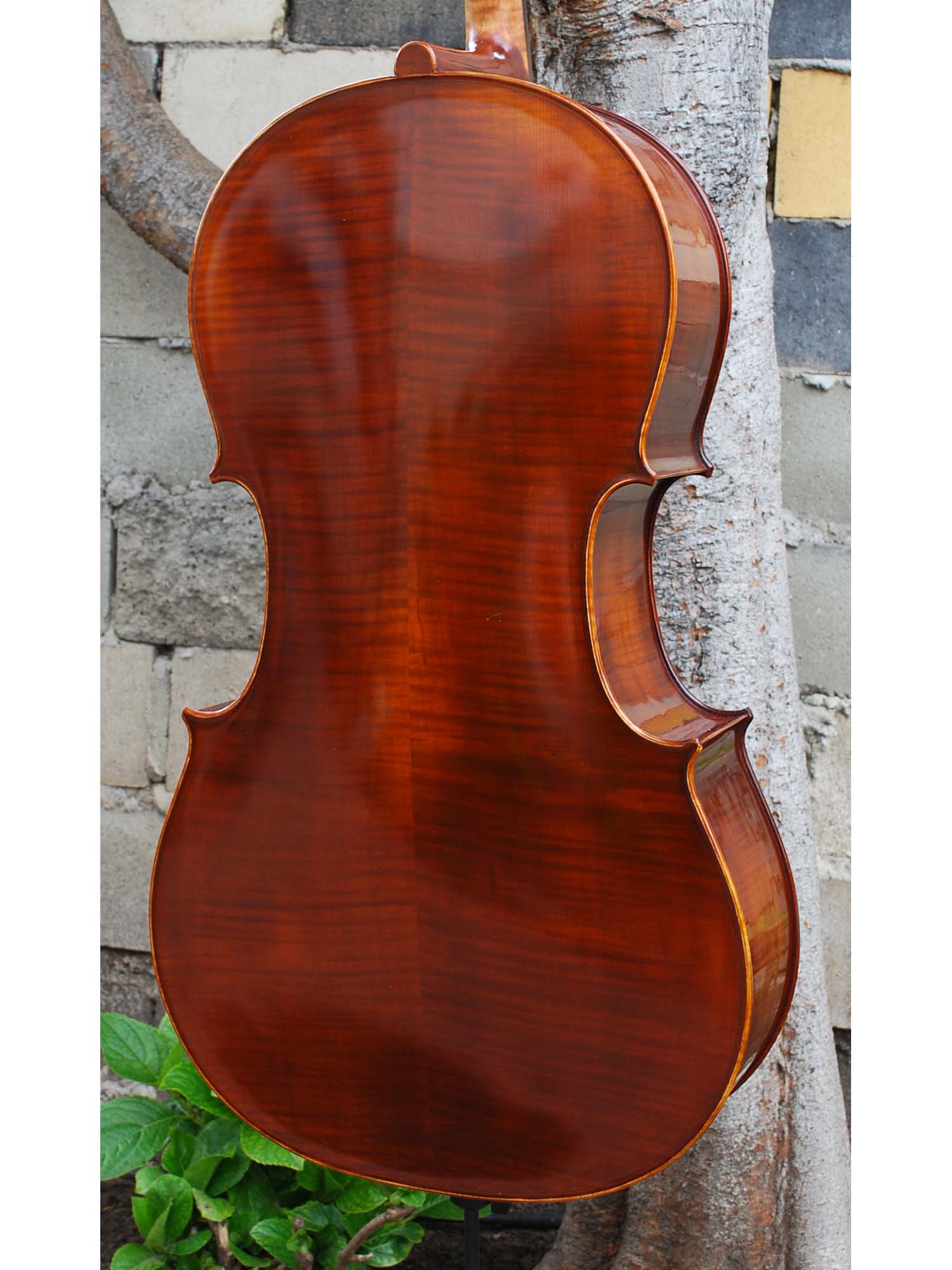 C.L. Wynn 520 'Strad' 7/8 Cello