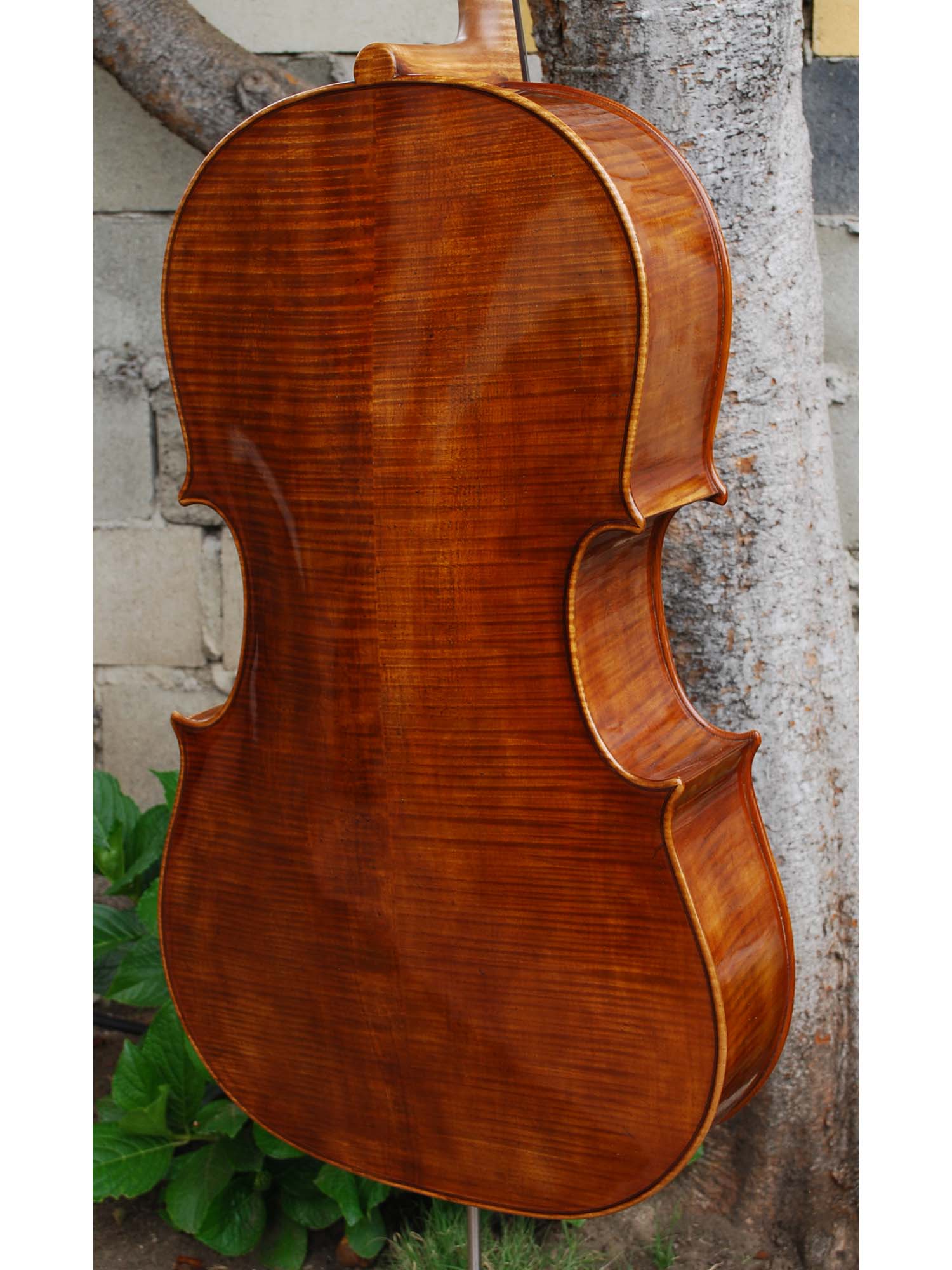 New and Used Cellos Tagged 
