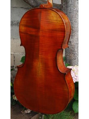 Vivo Limited 7/8 Cello