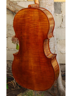 Vivo Special Eurowoods 4/4 Cello