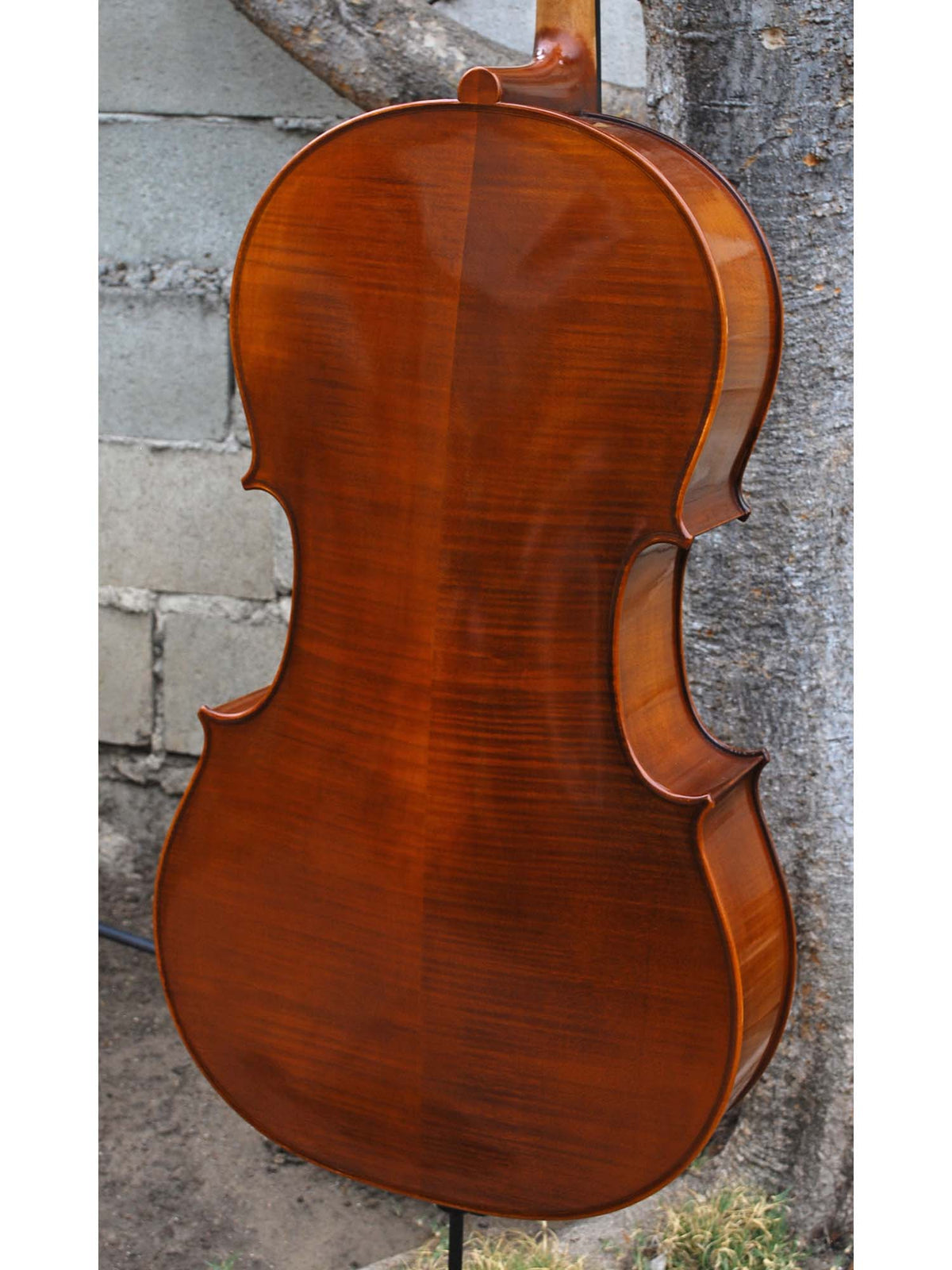 C.L. Wynn 520 'Strad' 7/8 Cello