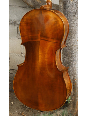 Vivo model 400 'Strad' 7/8 Cello