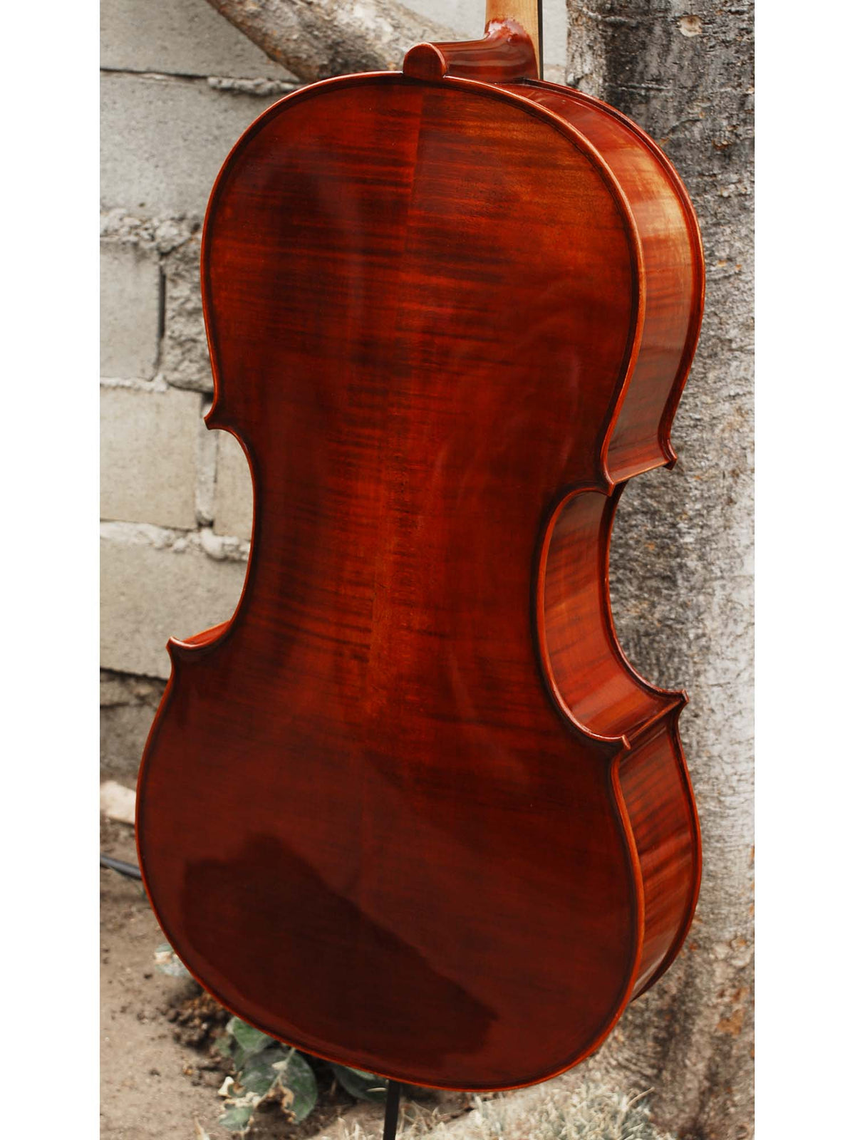 Jean-Pierre Lupot 'Strad' model 501 - 7/8 Cello