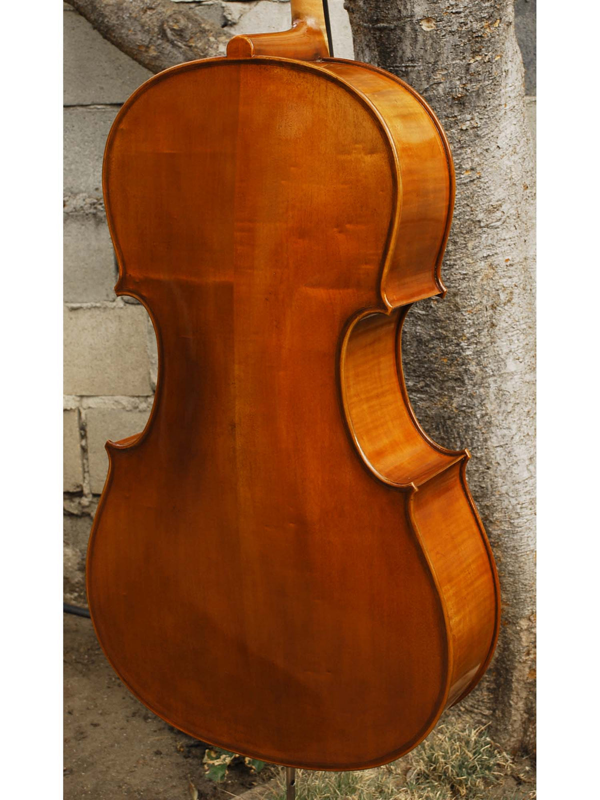 Eastman model 830 Poplar Gagliano pattern 4/4 Cello