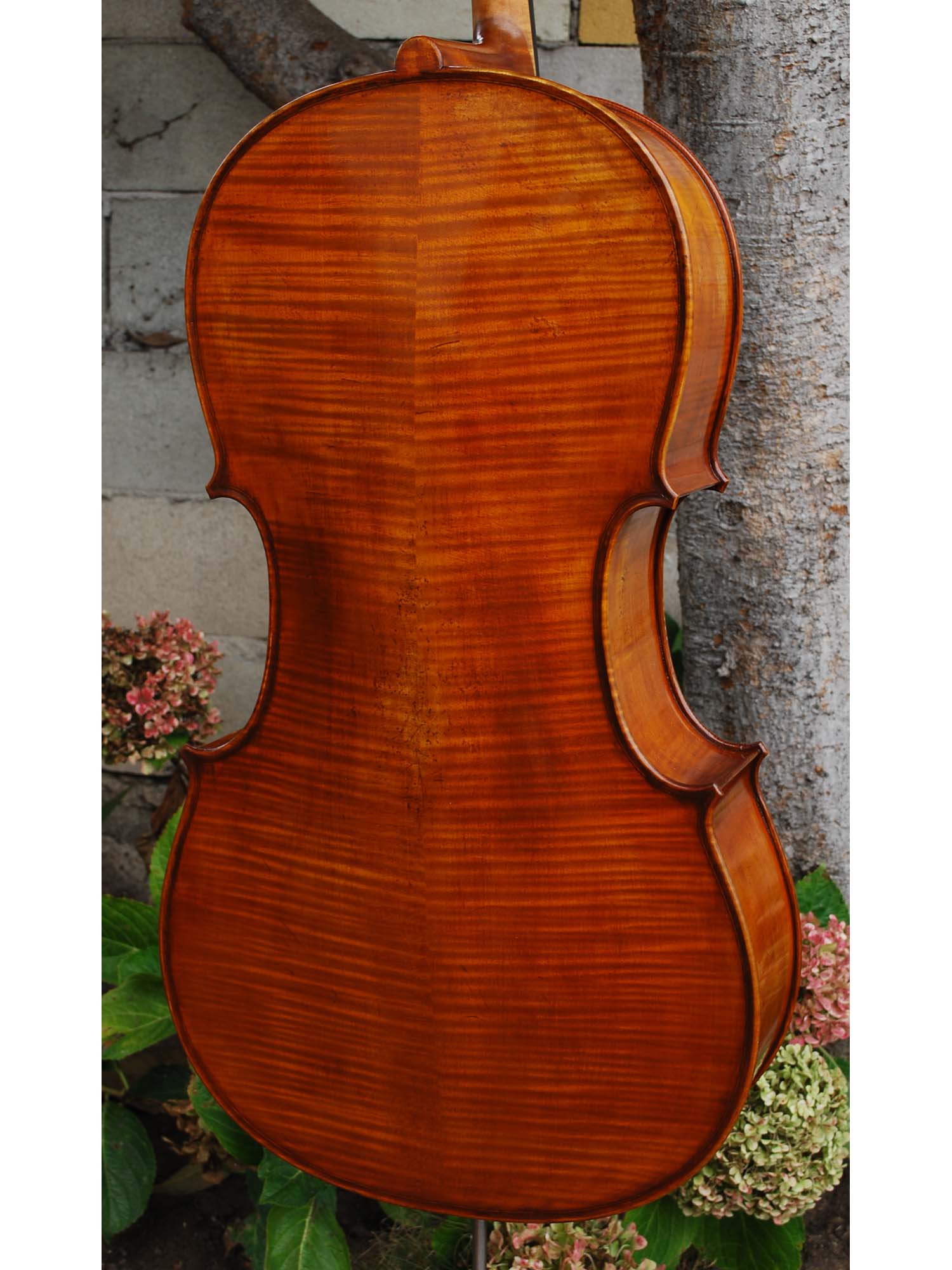 New and Used Cellos - Linda West Cellos