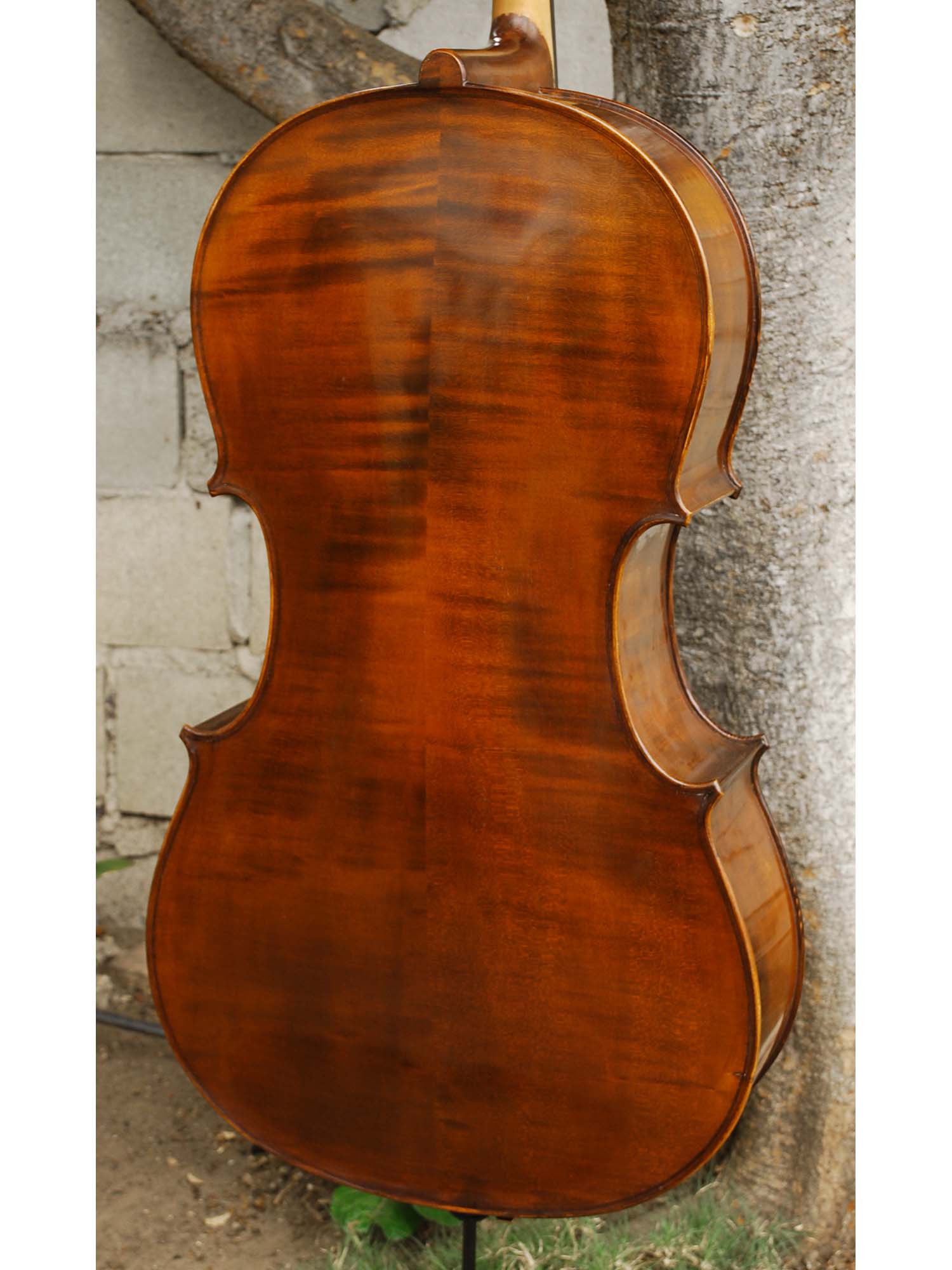 Eastman model 305 'Strad'  - 4/4 Cello (A)