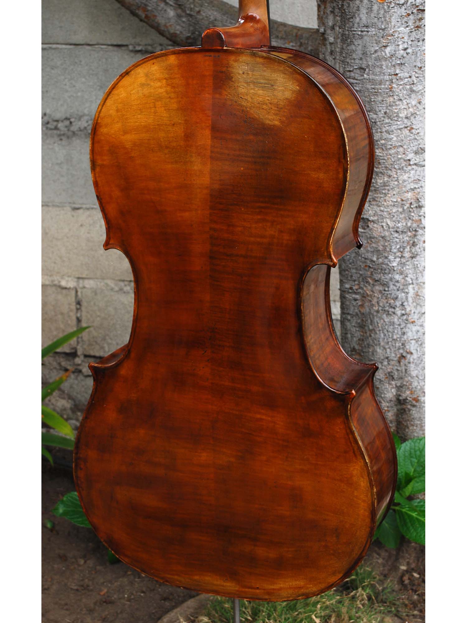Johann Edler "Testore" 4/4 Cello